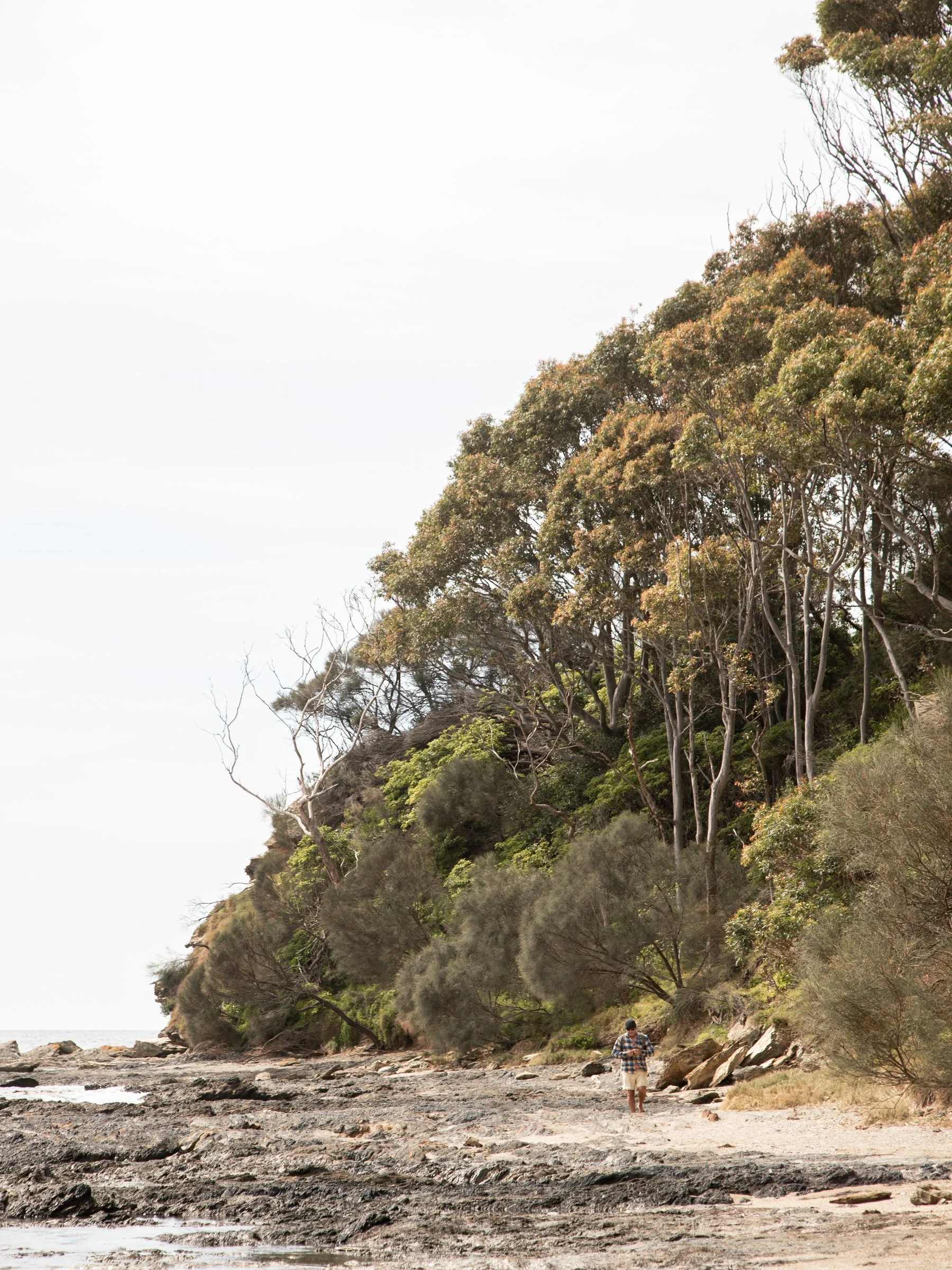 A man walking along a rocky beach with dense trees and vegetation on a hillside to the right, overcast sky overhead.