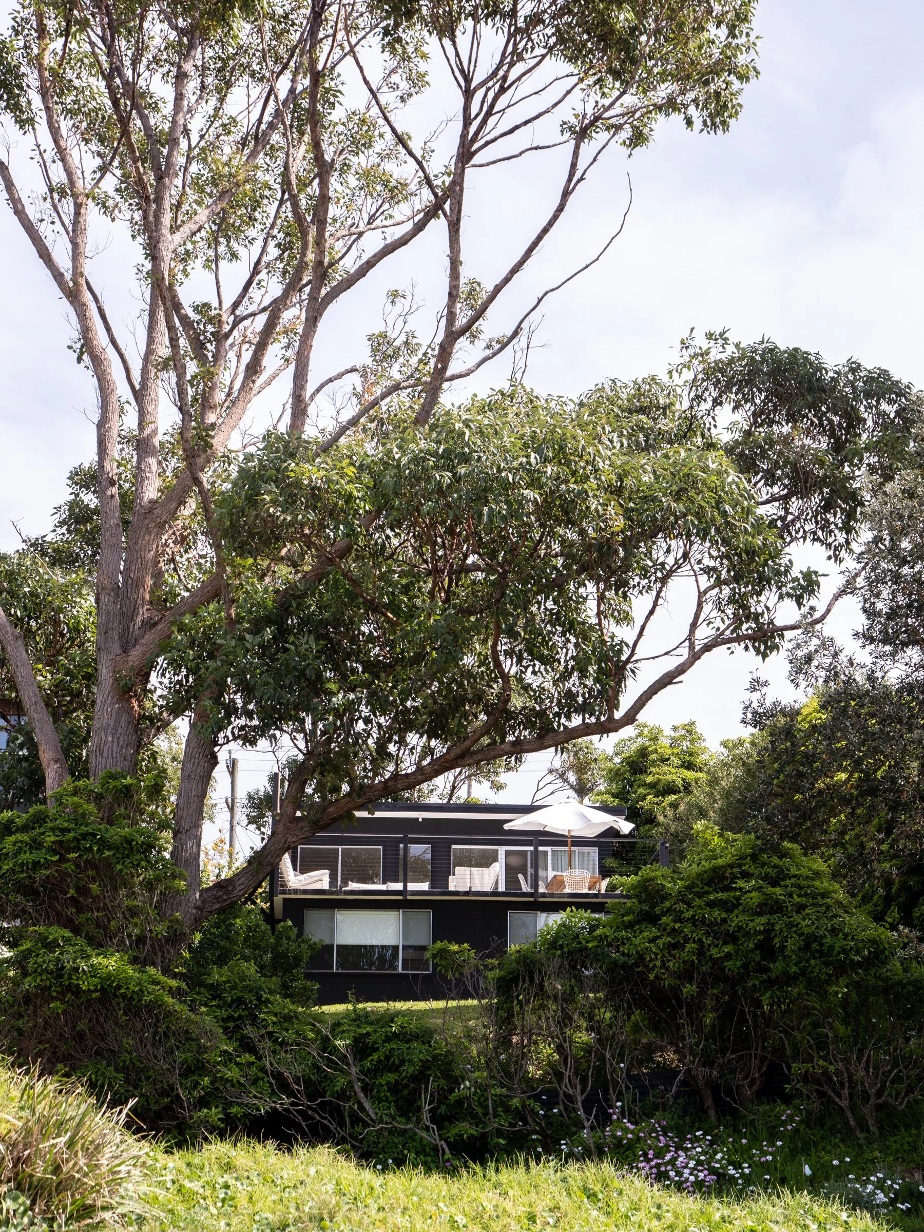 A house with a modern black exterior and large windows, surrounded by lush green trees and bushes, with a white patio umbrella and outdoor furniture on a deck outside.