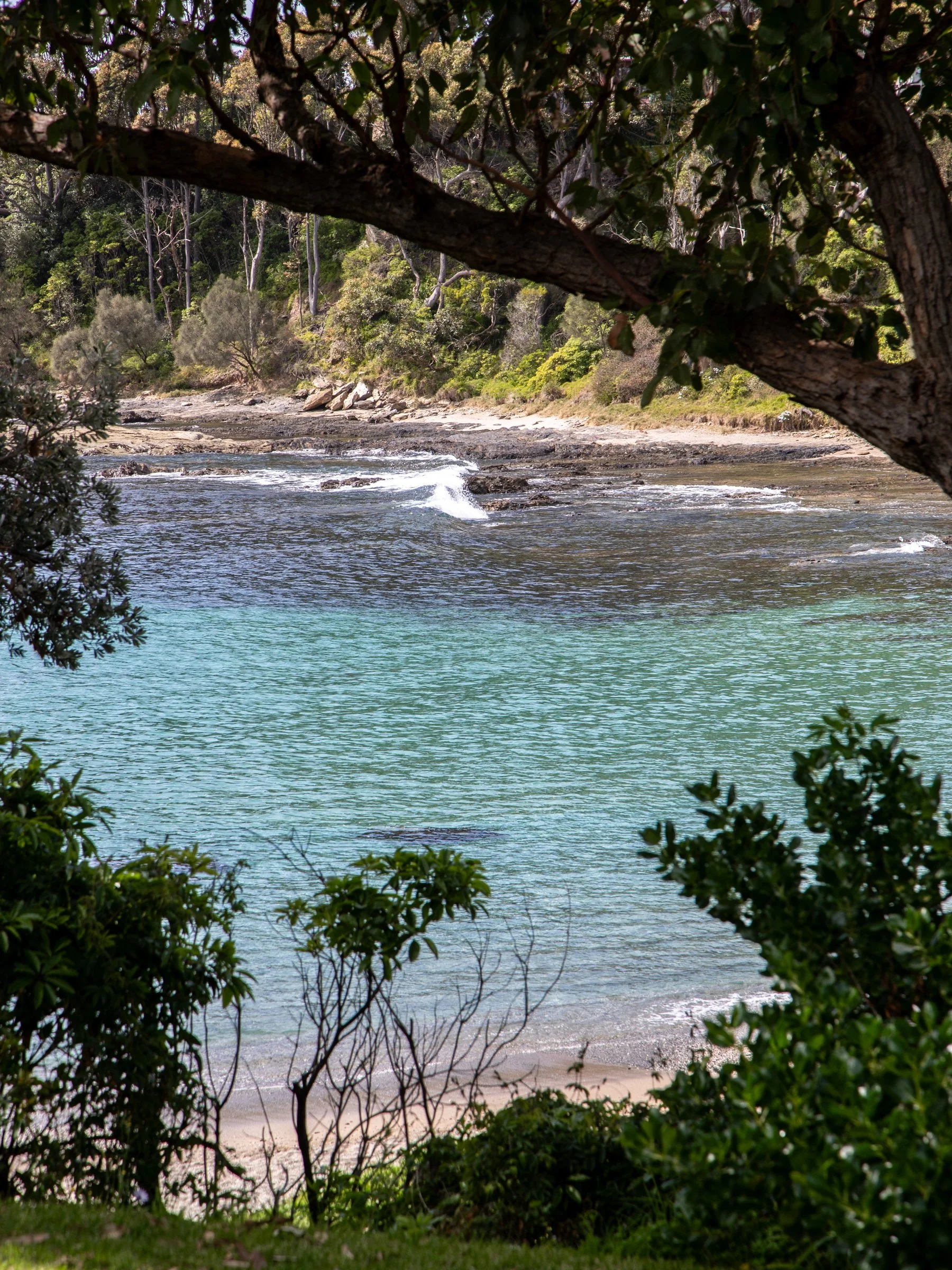 View of a river with clear water, a rocky shoreline, and trees along the bank seen through a frame of dark leafy branches and shrubs.