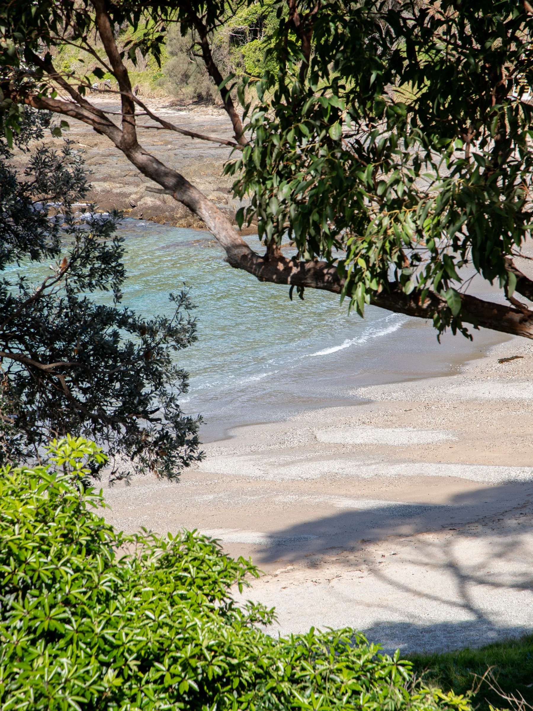 A beach scene with trees in the foreground and the shoreline visible with water and sand.