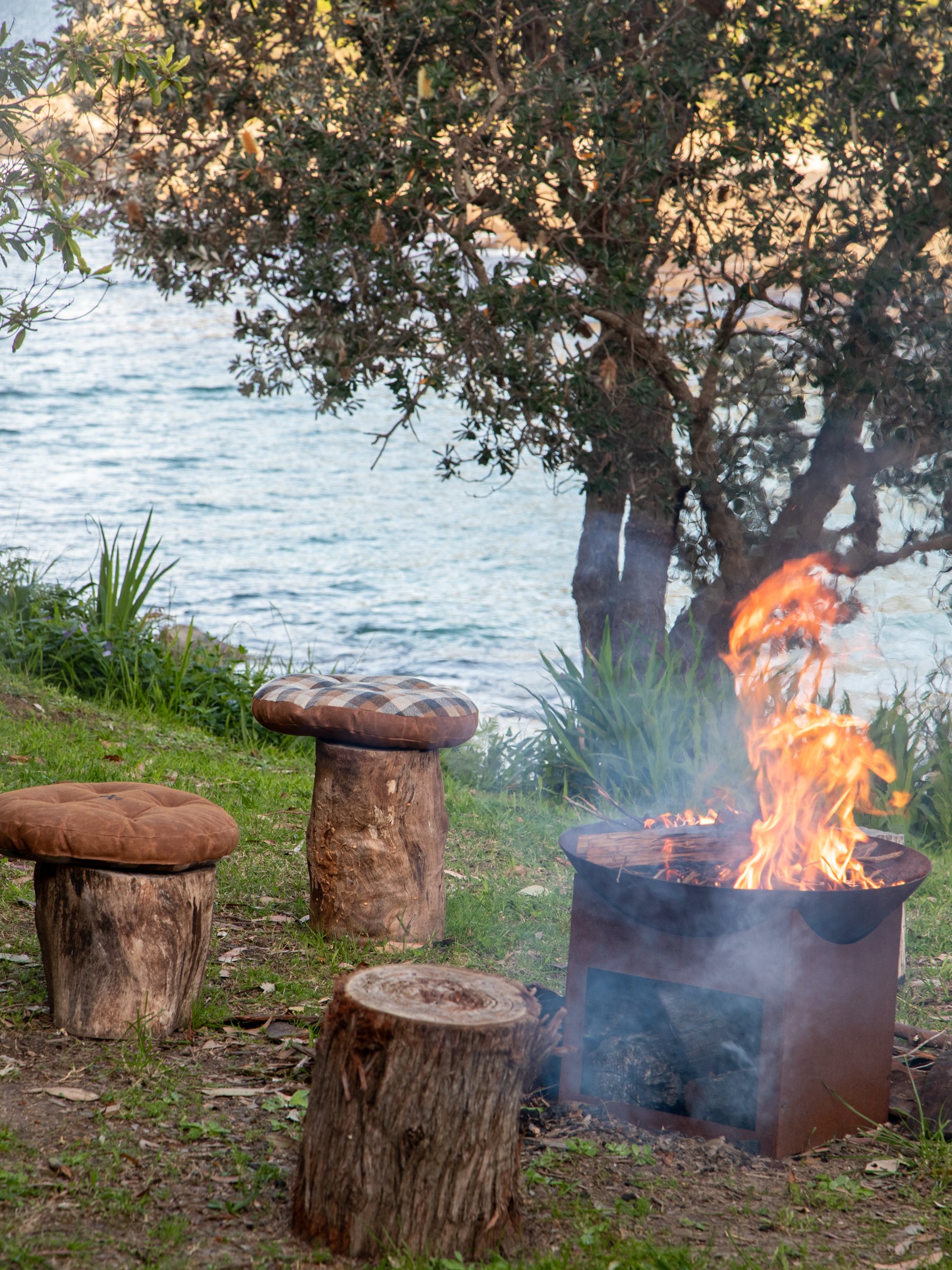 A backyard scene with a small fire in a metal fire pit, surrounded by tree stumps used as seats, with green grass and plants nearby, and a lake in the background.