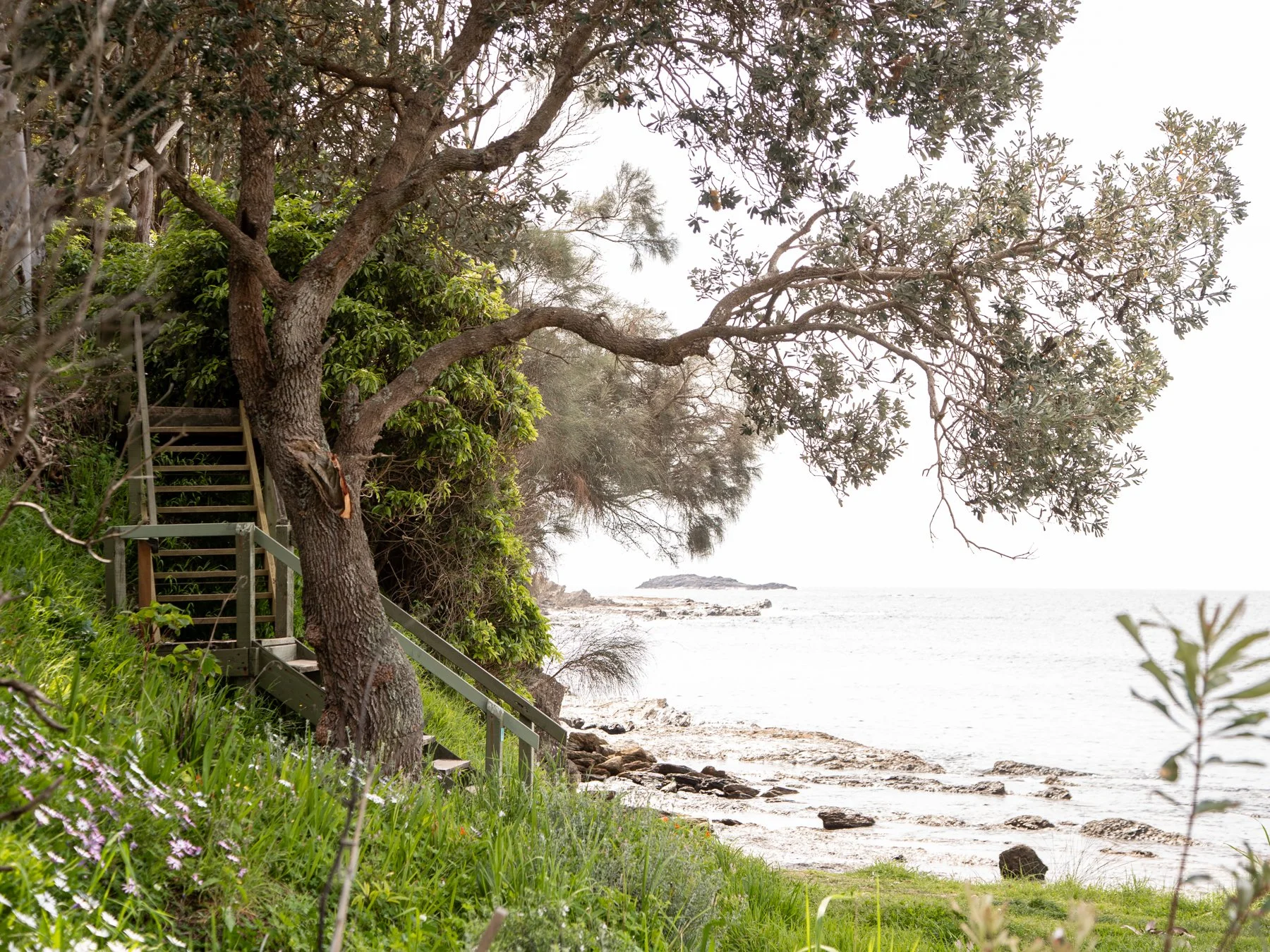 Beachside scene with green shrubs, a leaning tree, a wooden staircase, rocks along the shore, and the ocean with a small island in the distance.