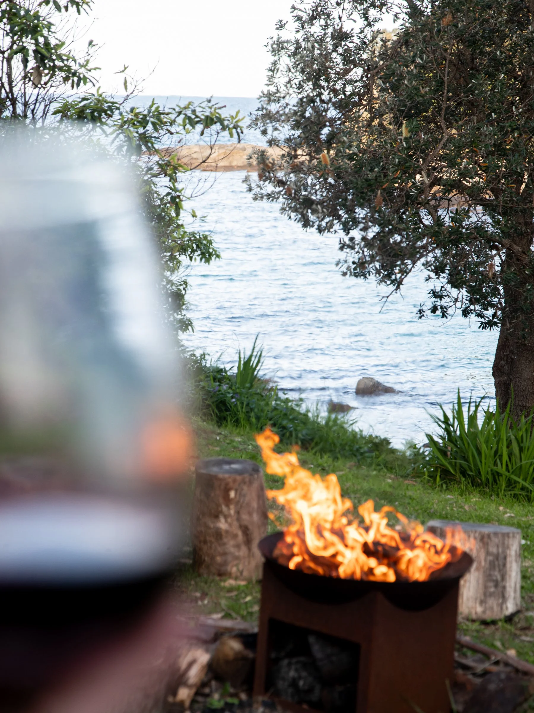 A metal fire pit with bright flames is in the foreground, surrounded by grass, small plants, and tree stumps. In the background, you can see a body of water and trees. The scene appears to be outdoors near a lake or river.