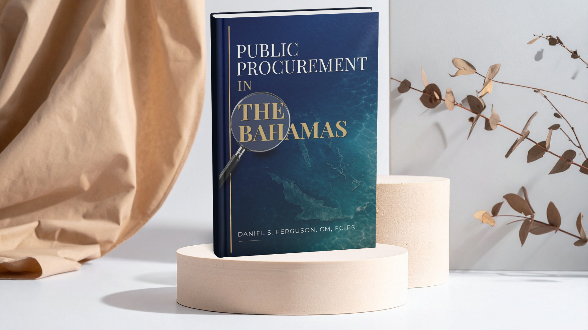 Public Procurement in The Bahamas: Lessons Learned from Reform, Practice, and Experience