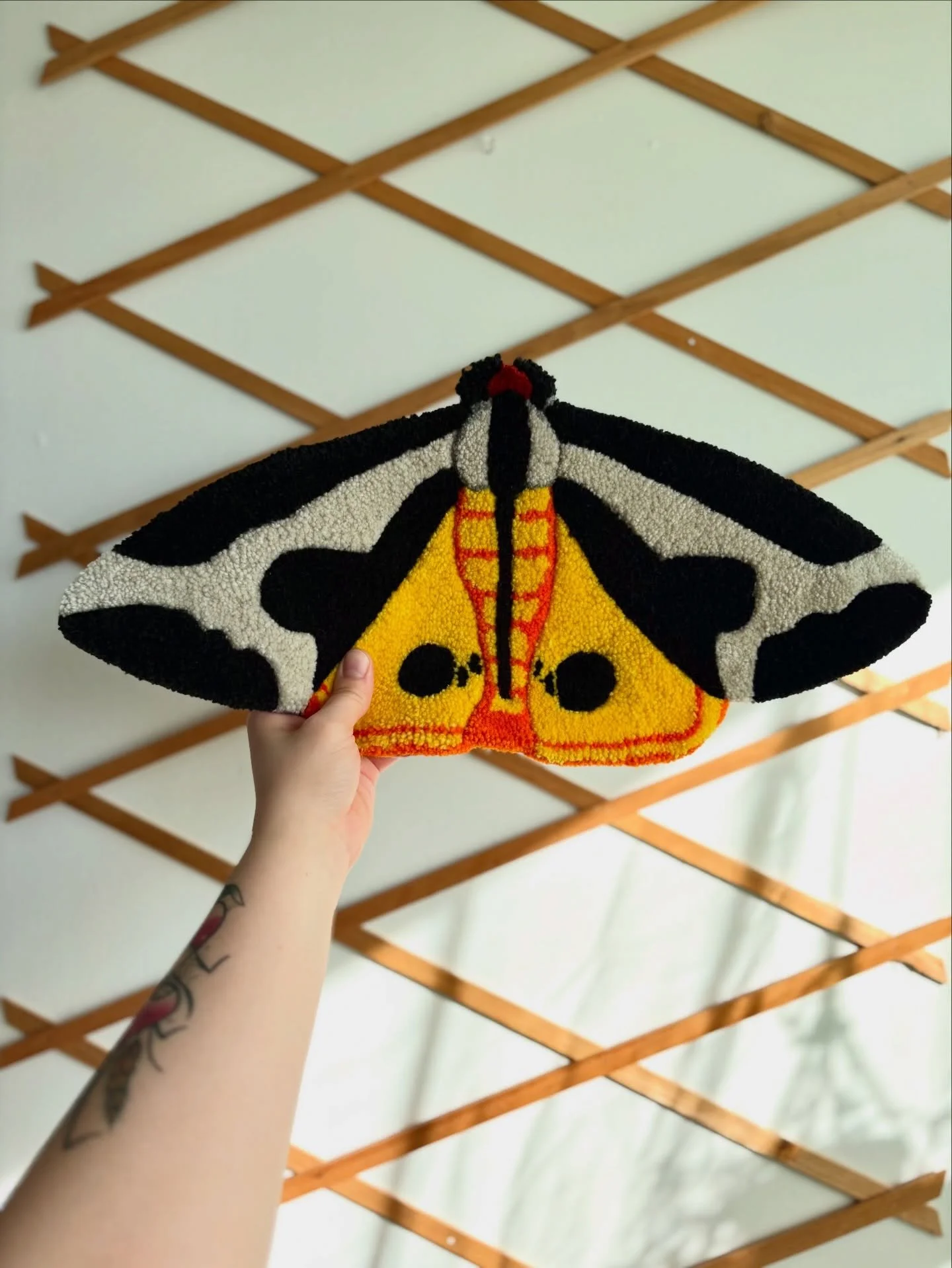🦋 Maple Moth x Tiger Moth RUGS 🦋

I&rsquo;m obsessed with how these turned out! They&rsquo;re both available at my online shop (link in bio)! ✨

#entomology #moth #tufting #bugs