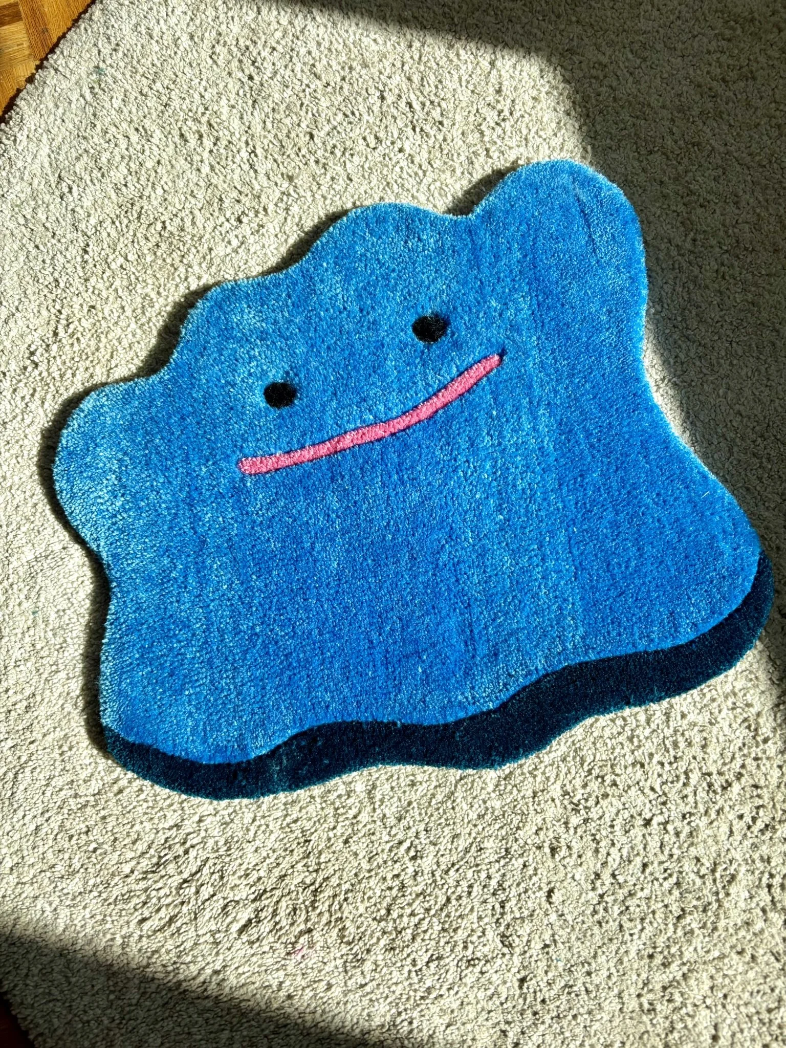 Shiny ditto rug (4).JPEG