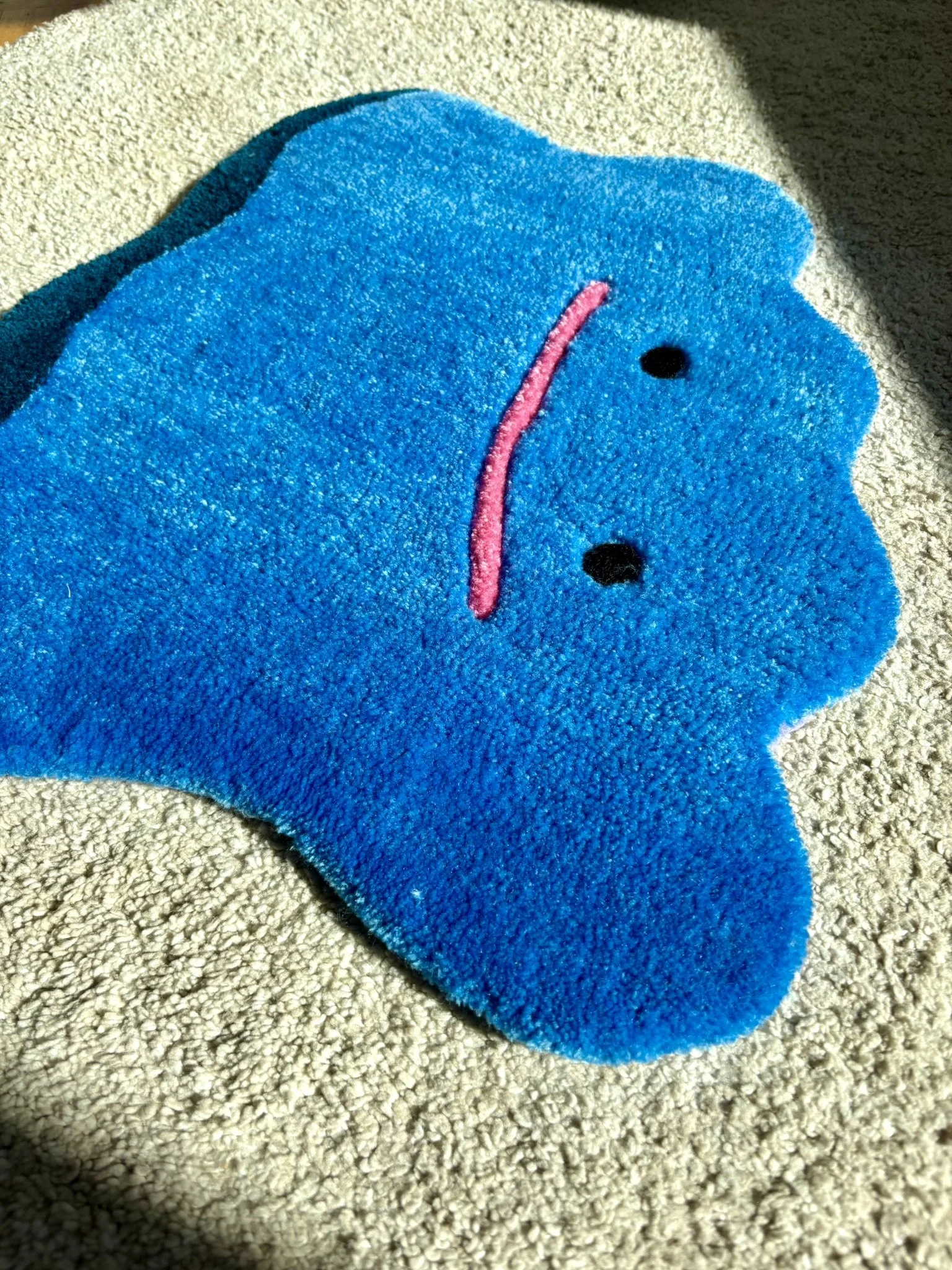 Shiny ditto rug (9).JPEG