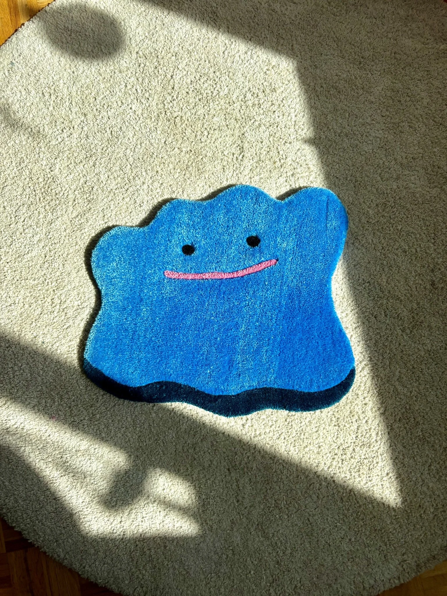 Shiny ditto rug (11).JPEG