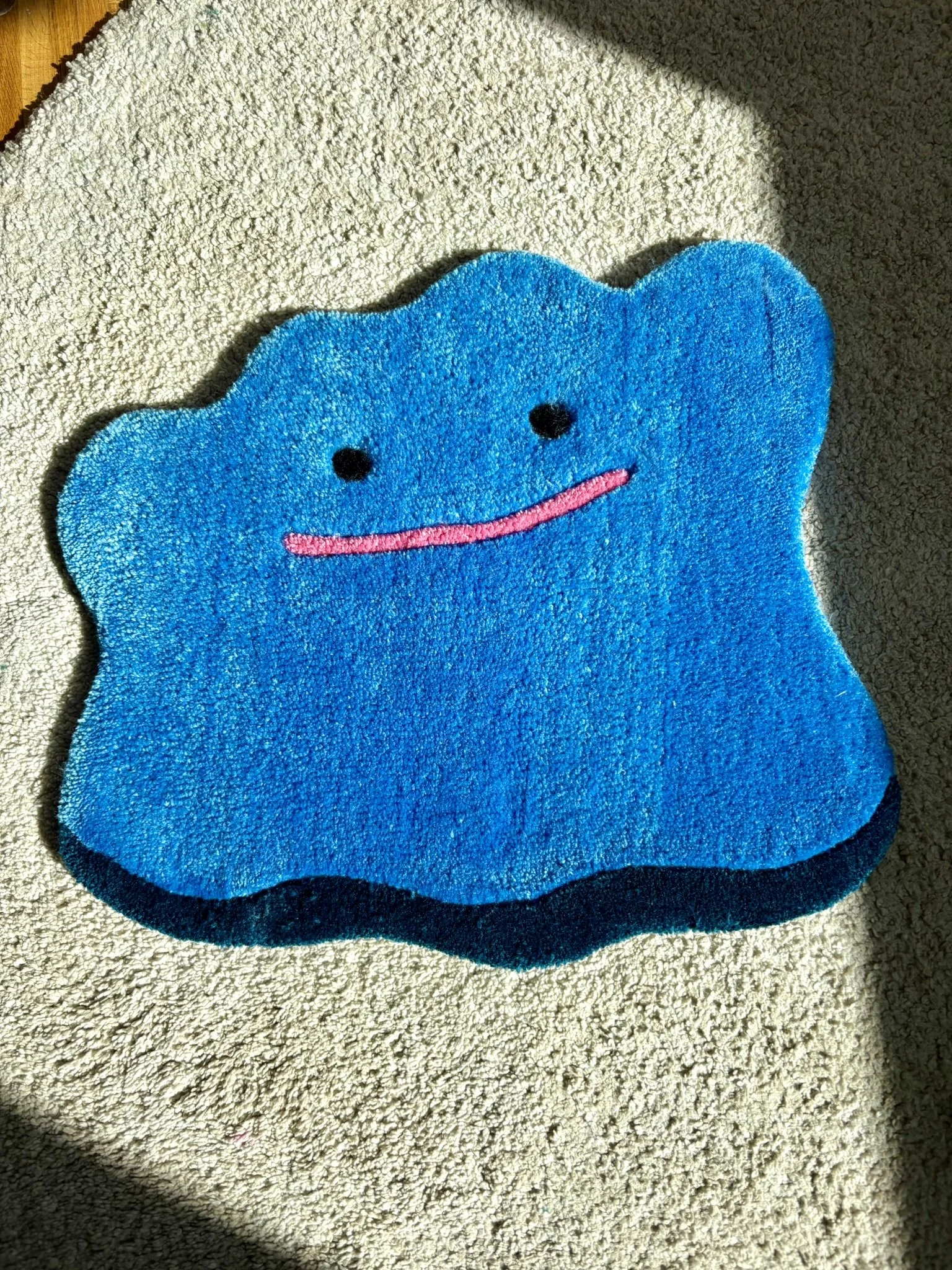 Shiny ditto rug (1).JPEG