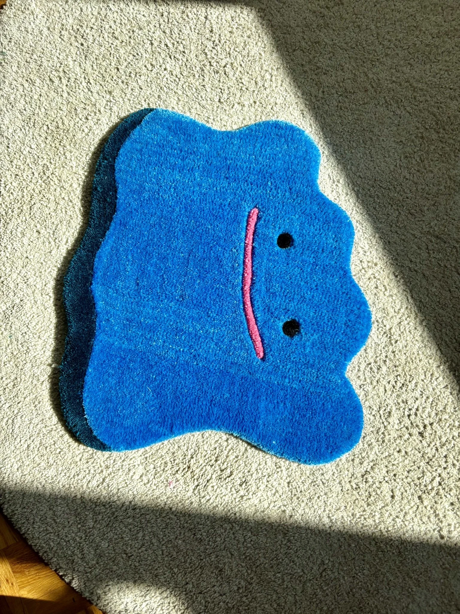 Shiny ditto rug (10).JPEG