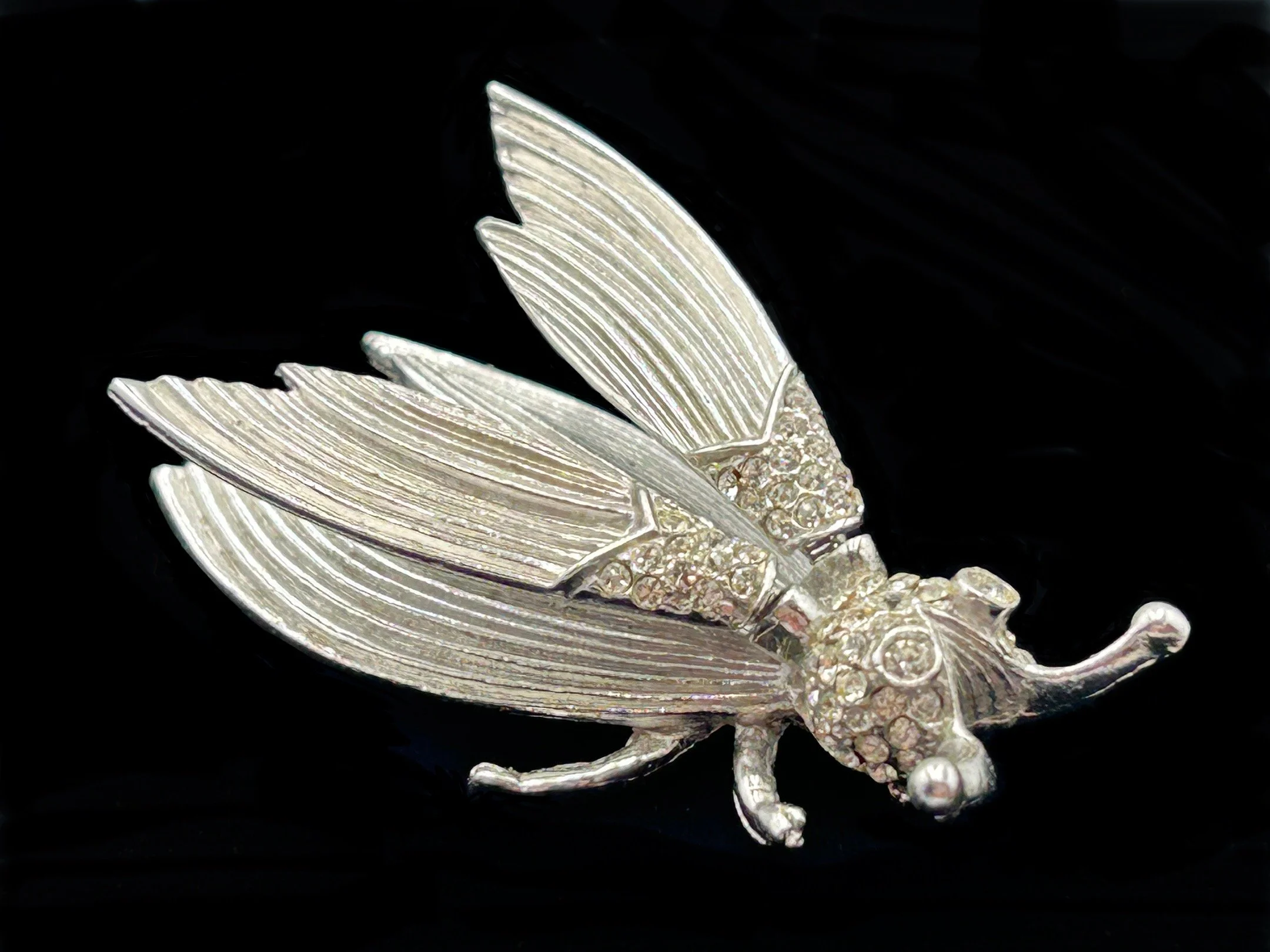 CICADA BROOCH