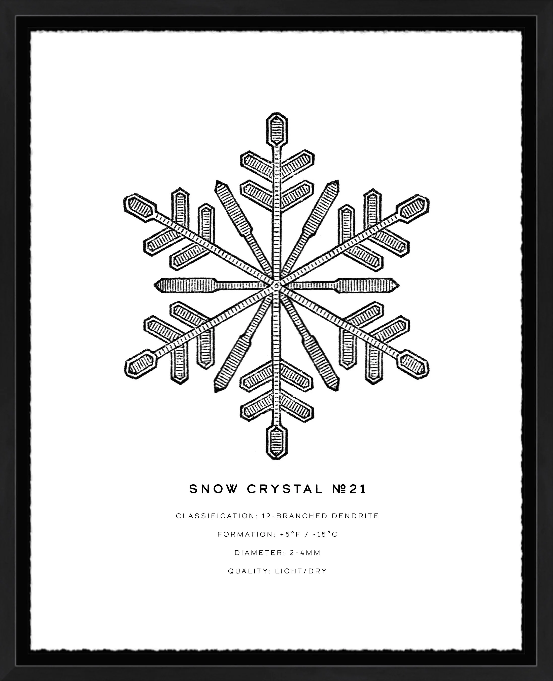 Snow Crystal Series: No. 21; deckled-edge archival paper; 11" x 14" or 16" x 20" frame.