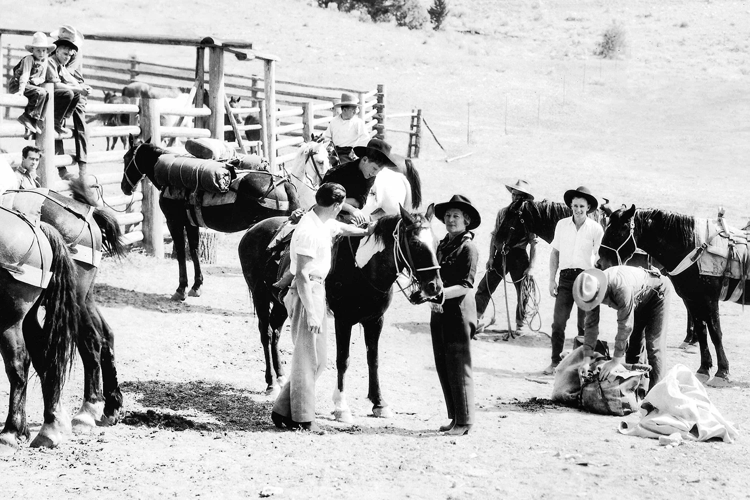 Barn Door Perspective