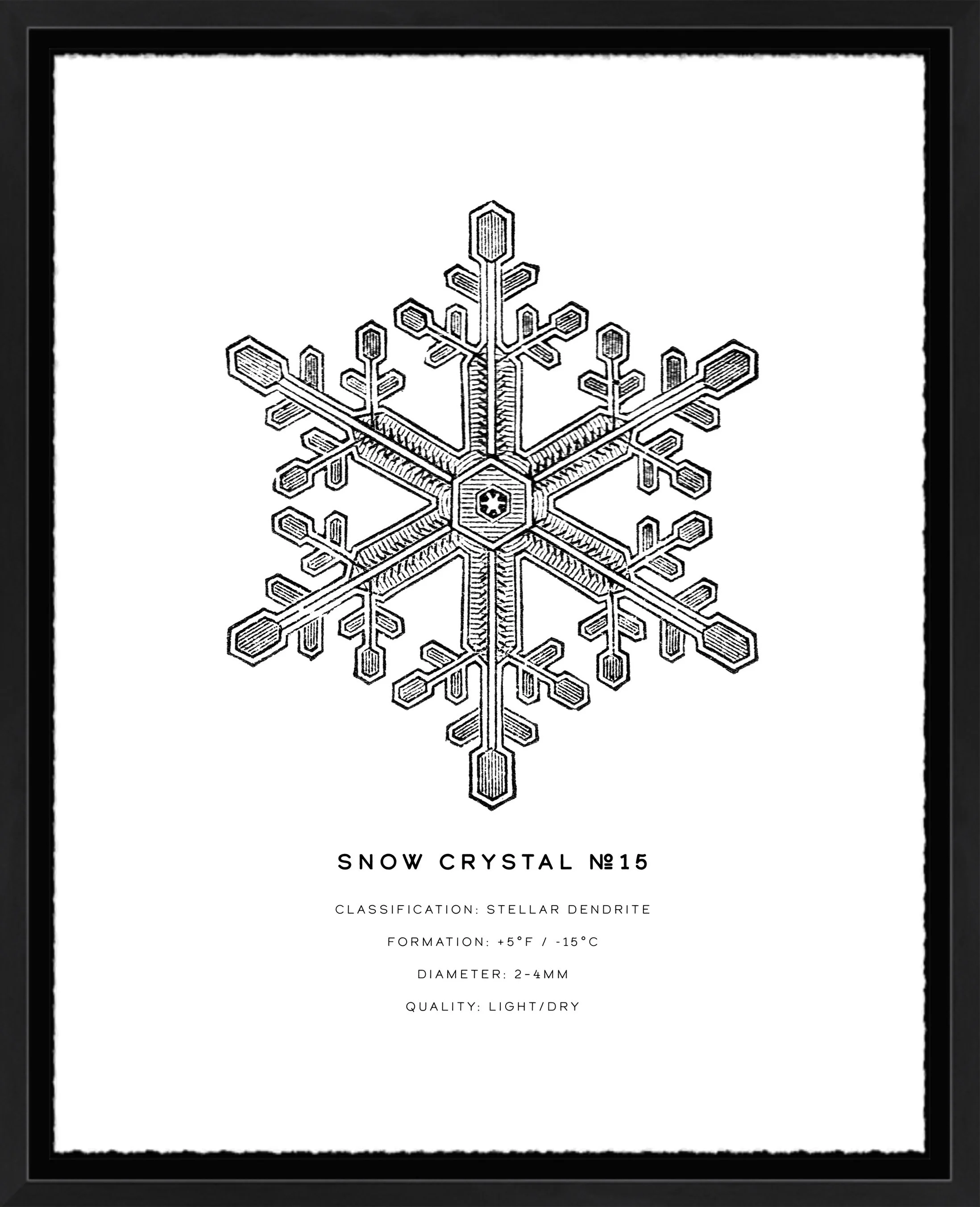 Snow Crystal Series: No. 15; deckled-edge archival paper; 11" x 14" or 16" x 20" frame.