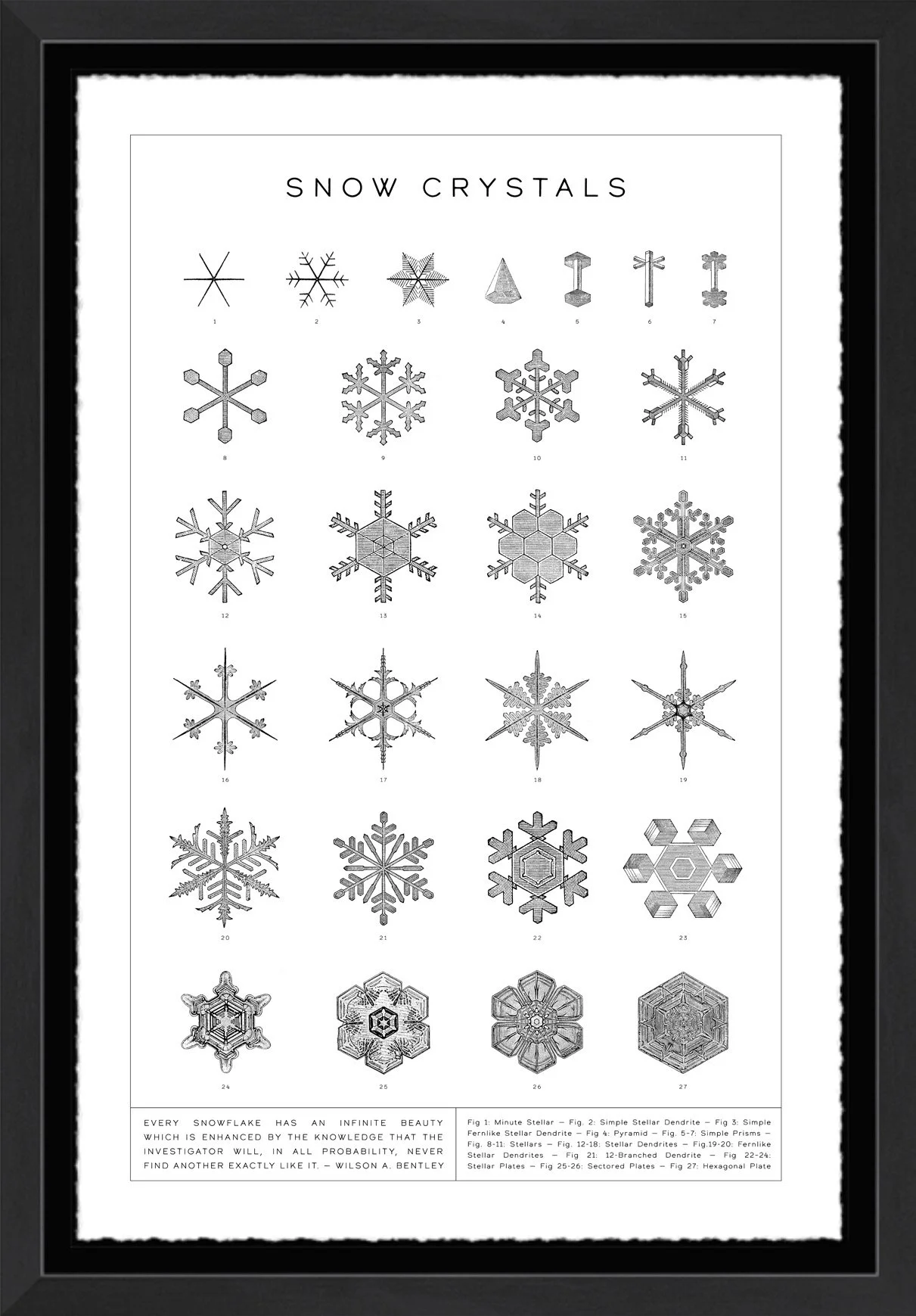 Snow Crystals Chart; deckled-edge archival paper; 16" x 20" frame.