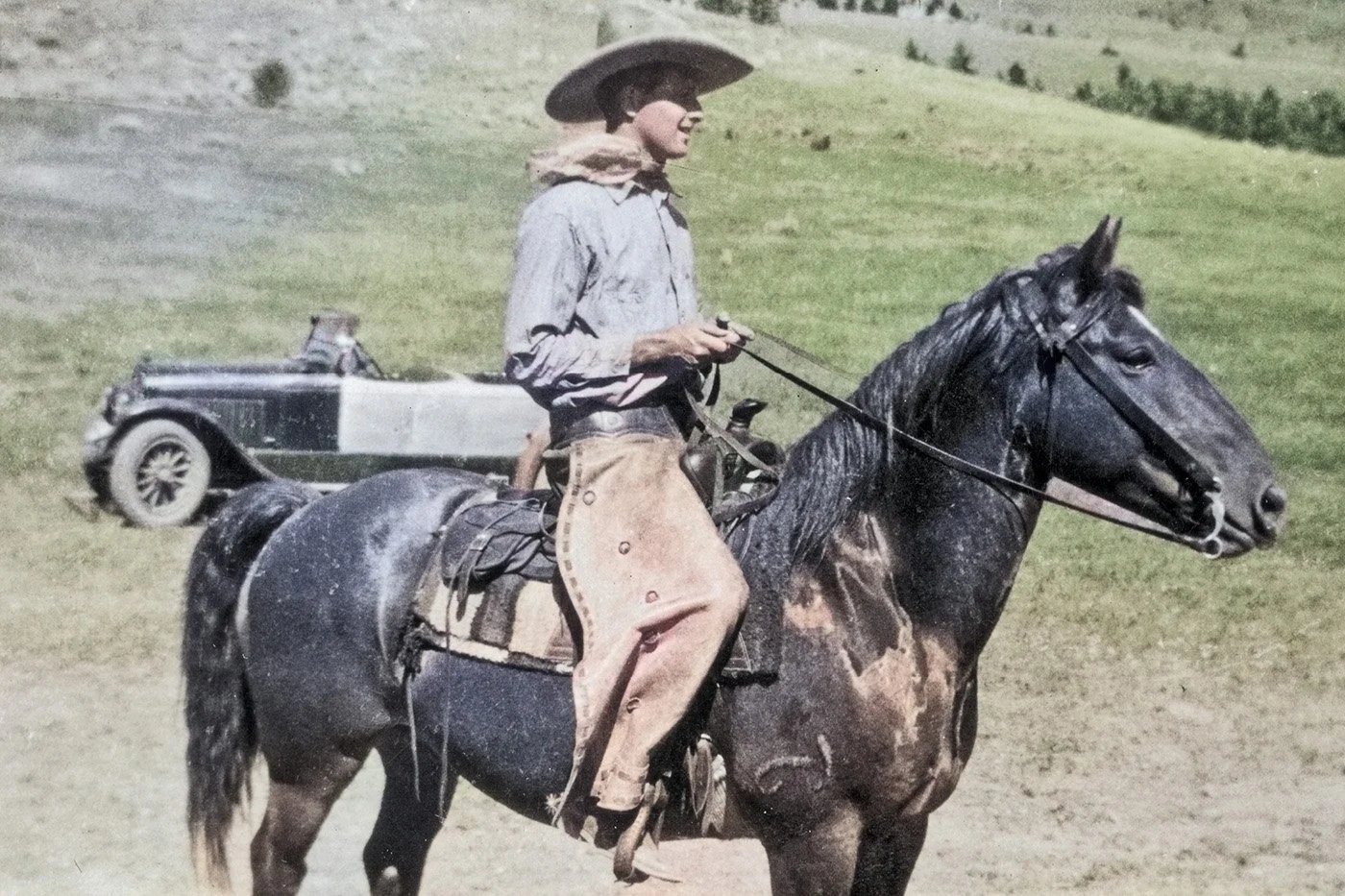 The Wrangler – colorized