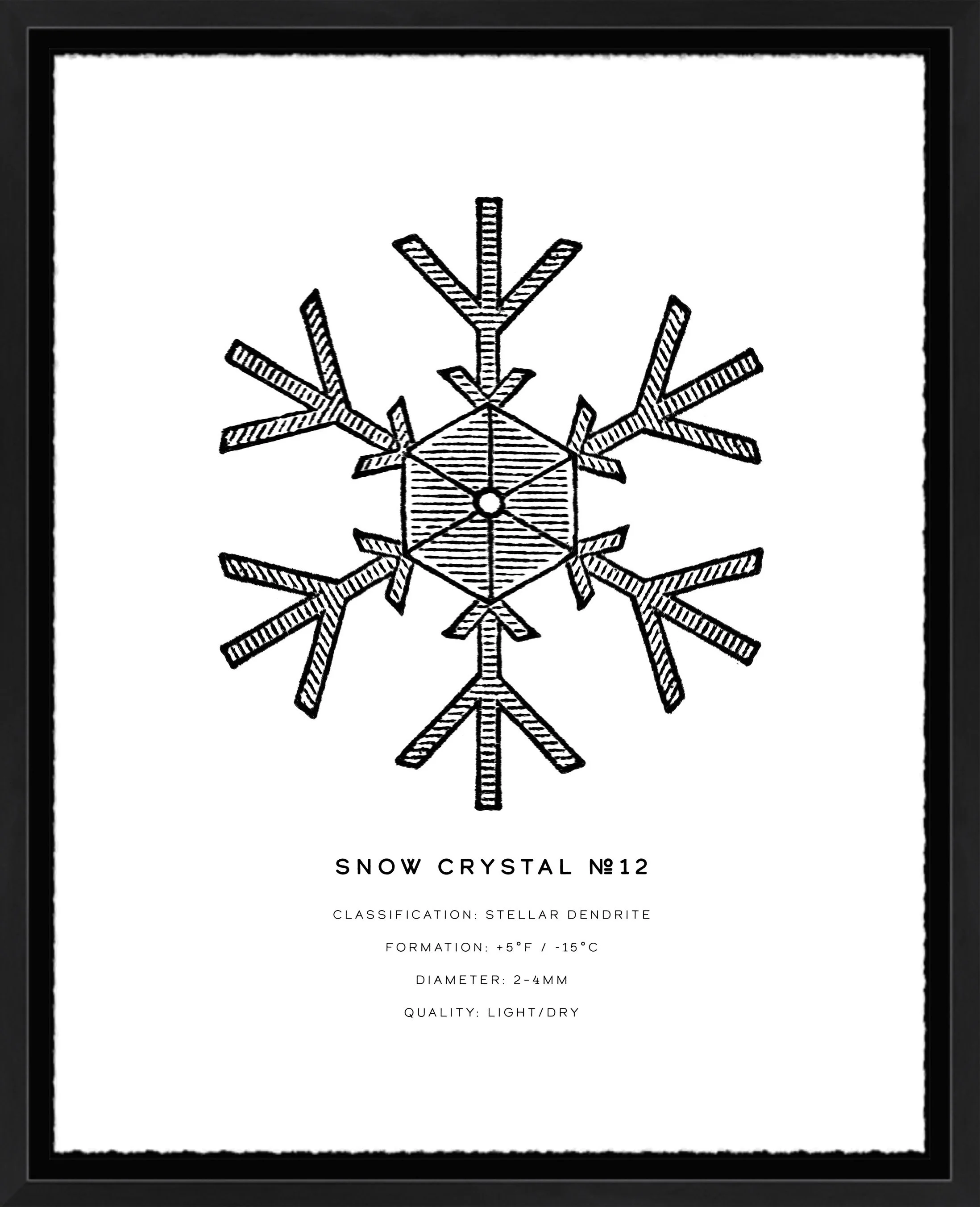 Snow Crystal Series: No. 12; deckled-edge archival paper; 11" x 14" or 16" x 20" frame.