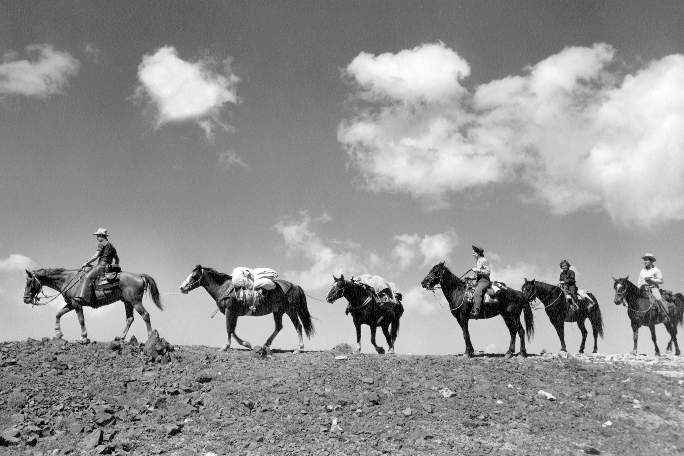 Spanish Peaks Pack Line