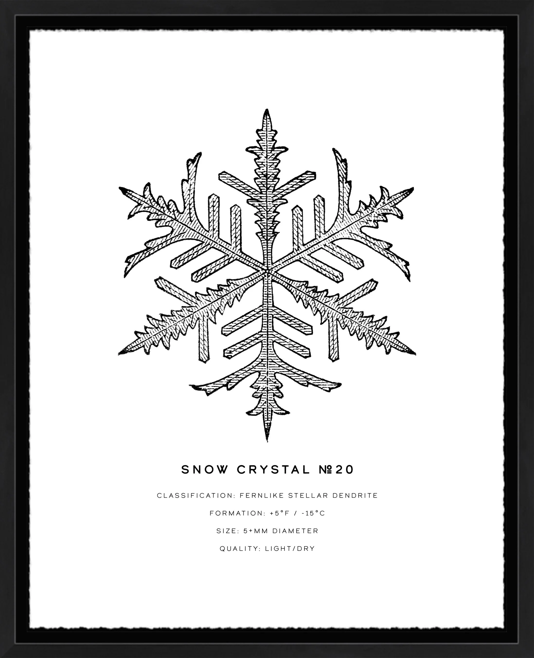 Snow Crystal Series: No. 20; deckled-edge archival paper; 11" x 14" or 16" x 20" frame.