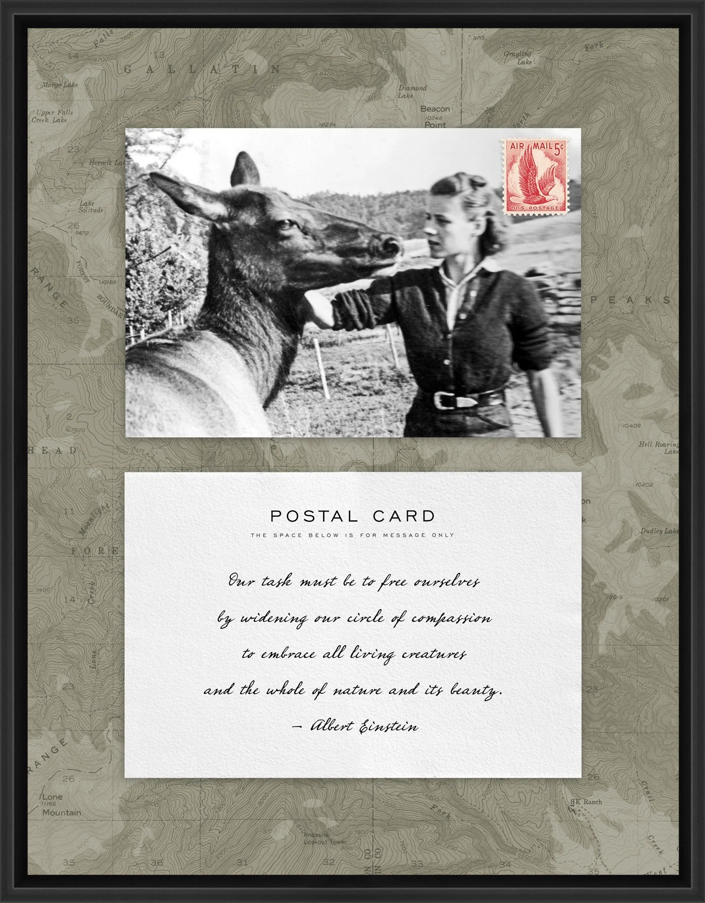 Adventure Postal Collage Series: Elk Lady; 1958 Eagle Airmail postage stamp adhered to a metal print; 11" x 14" frame.