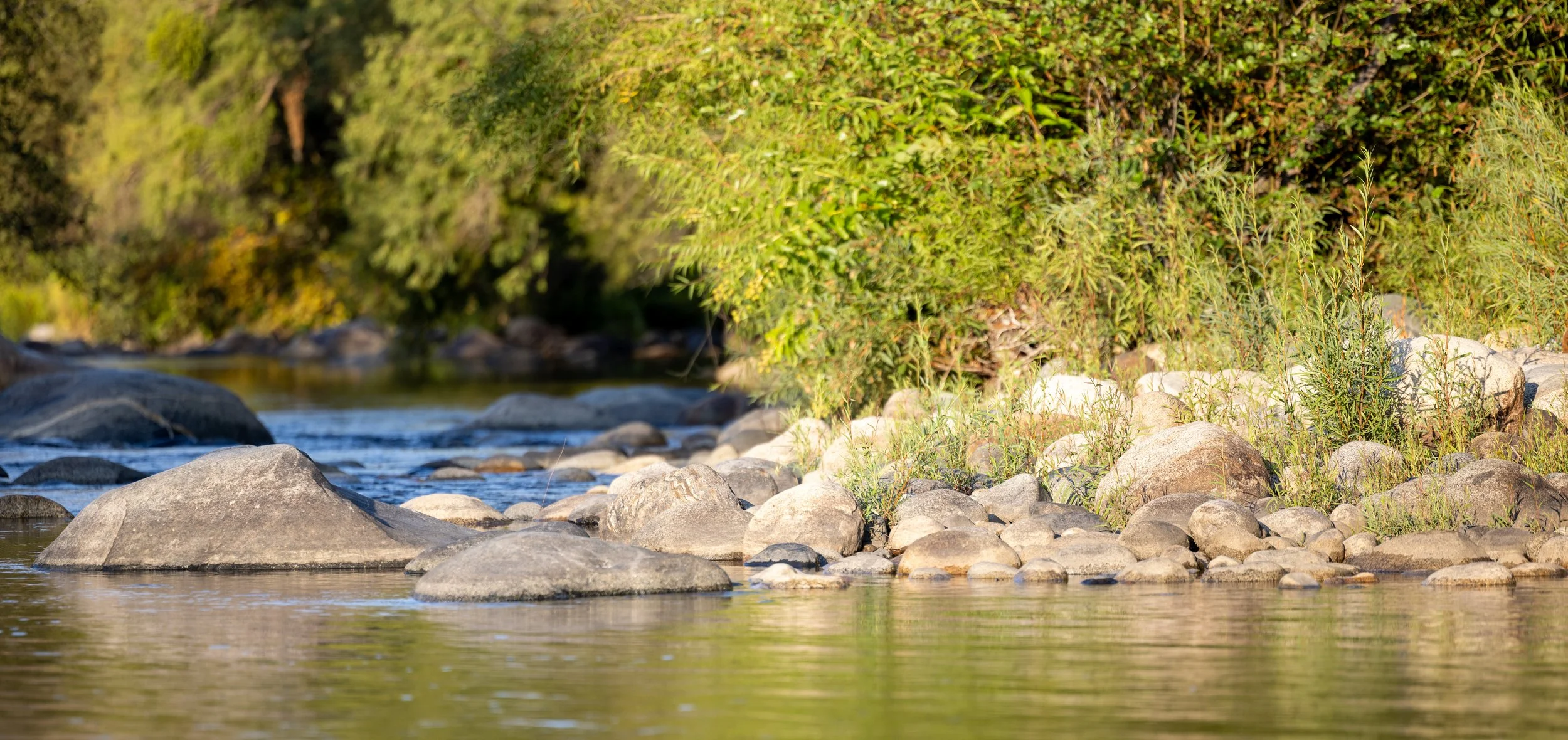 South Fork river landscape representing the calm, steady operational support South Fork Operations Co. brings to Sacramento businesses