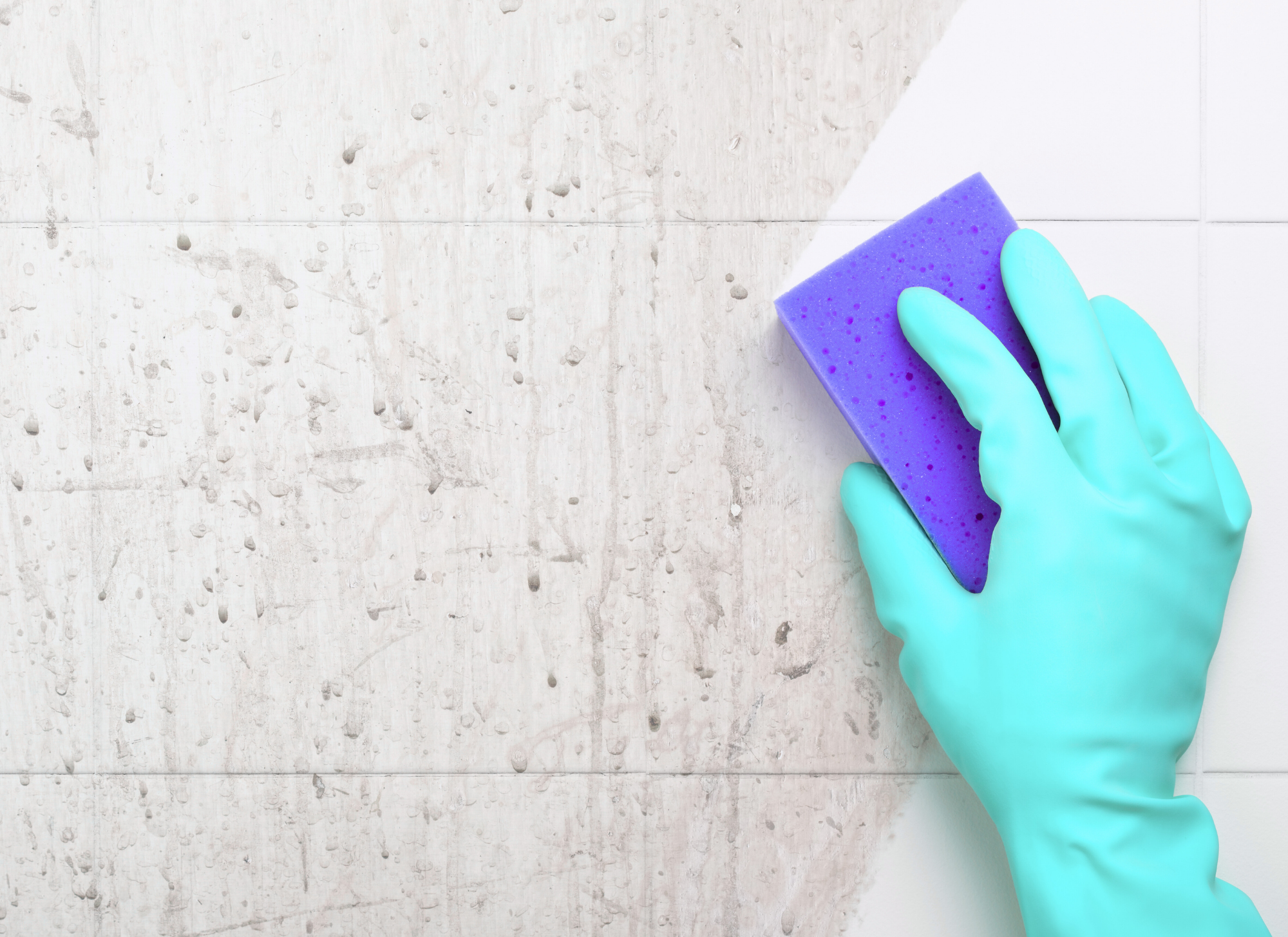 Shine Co | Commercial & Move Out Cleaning Cedar Falls & Waterloo