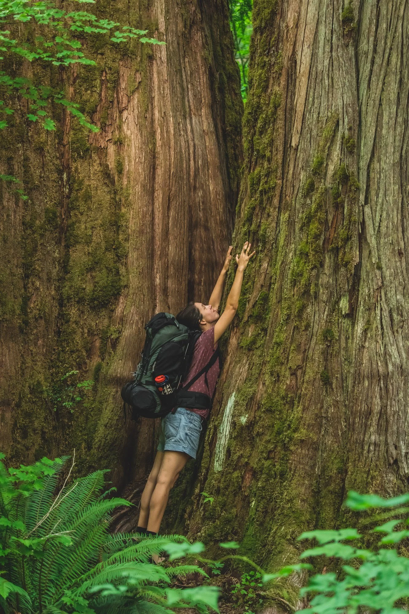 Carla leaning against a giant tree