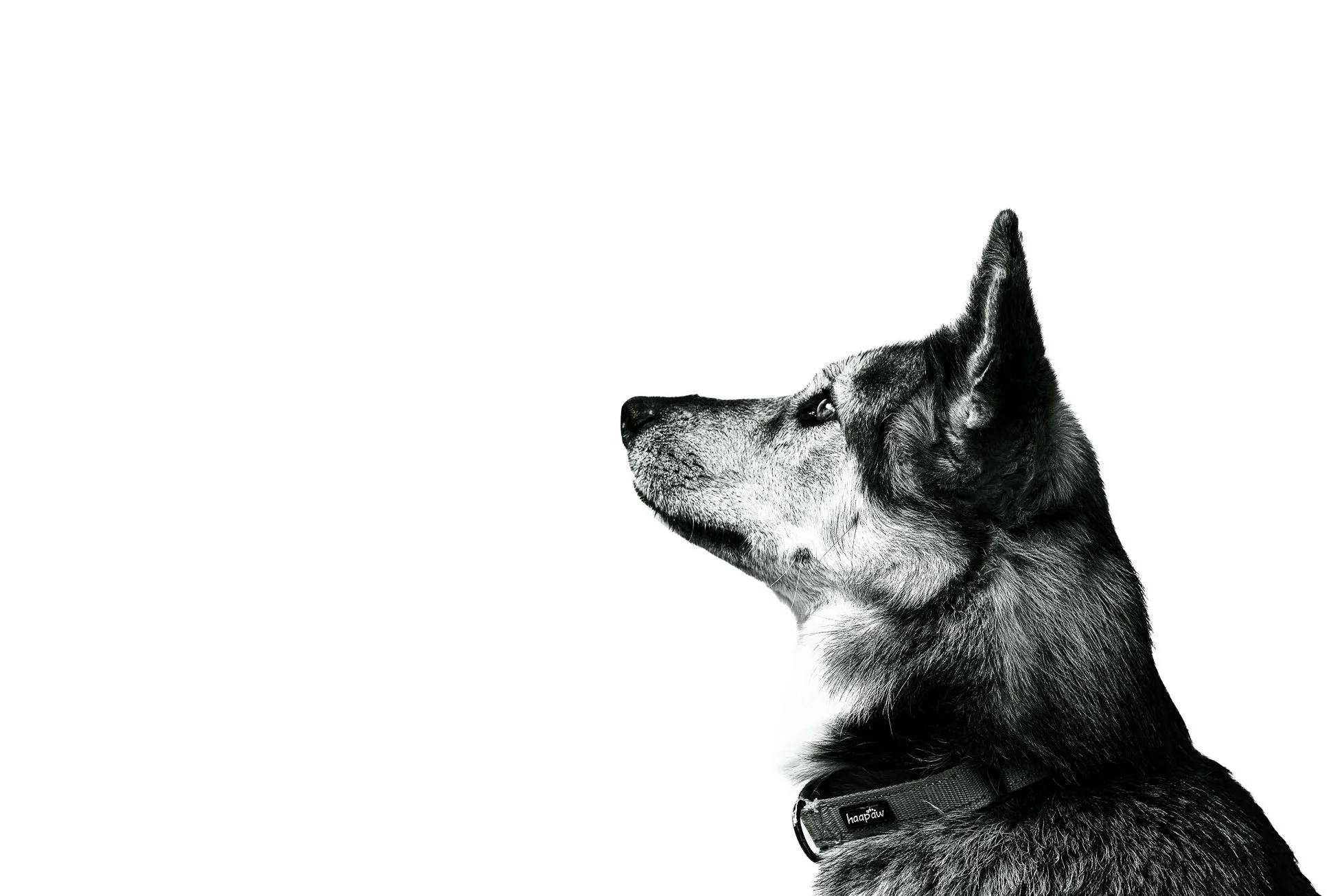 sno-studio-portrait-25.jpg