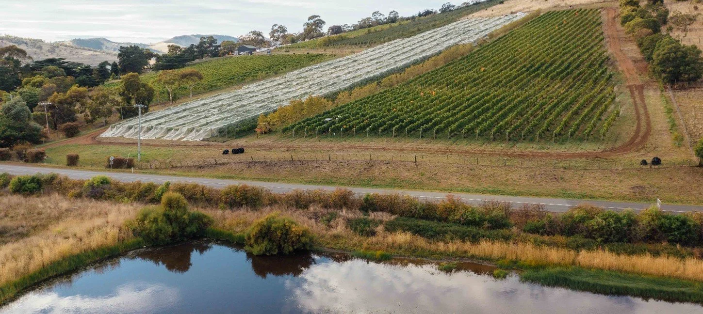 Cover Photo Pooley Wines small.jpg