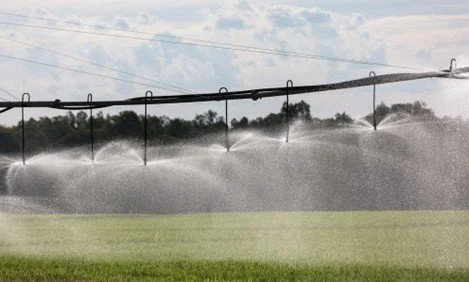 Irrigator.jpg
