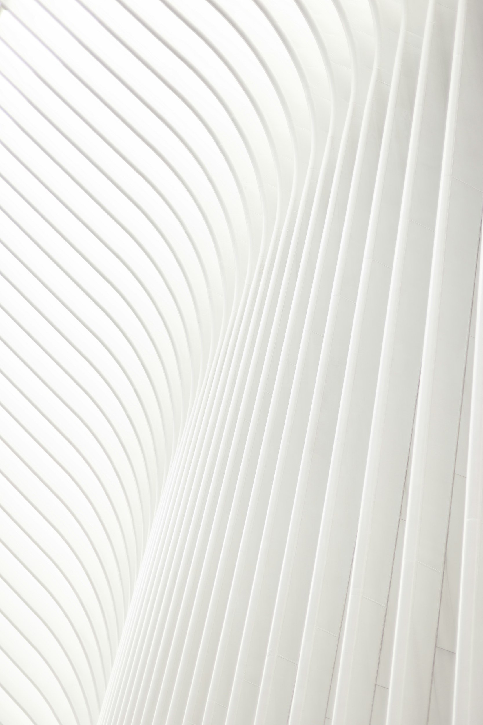 unsplash-image--n5F3fH0lIY.jpg