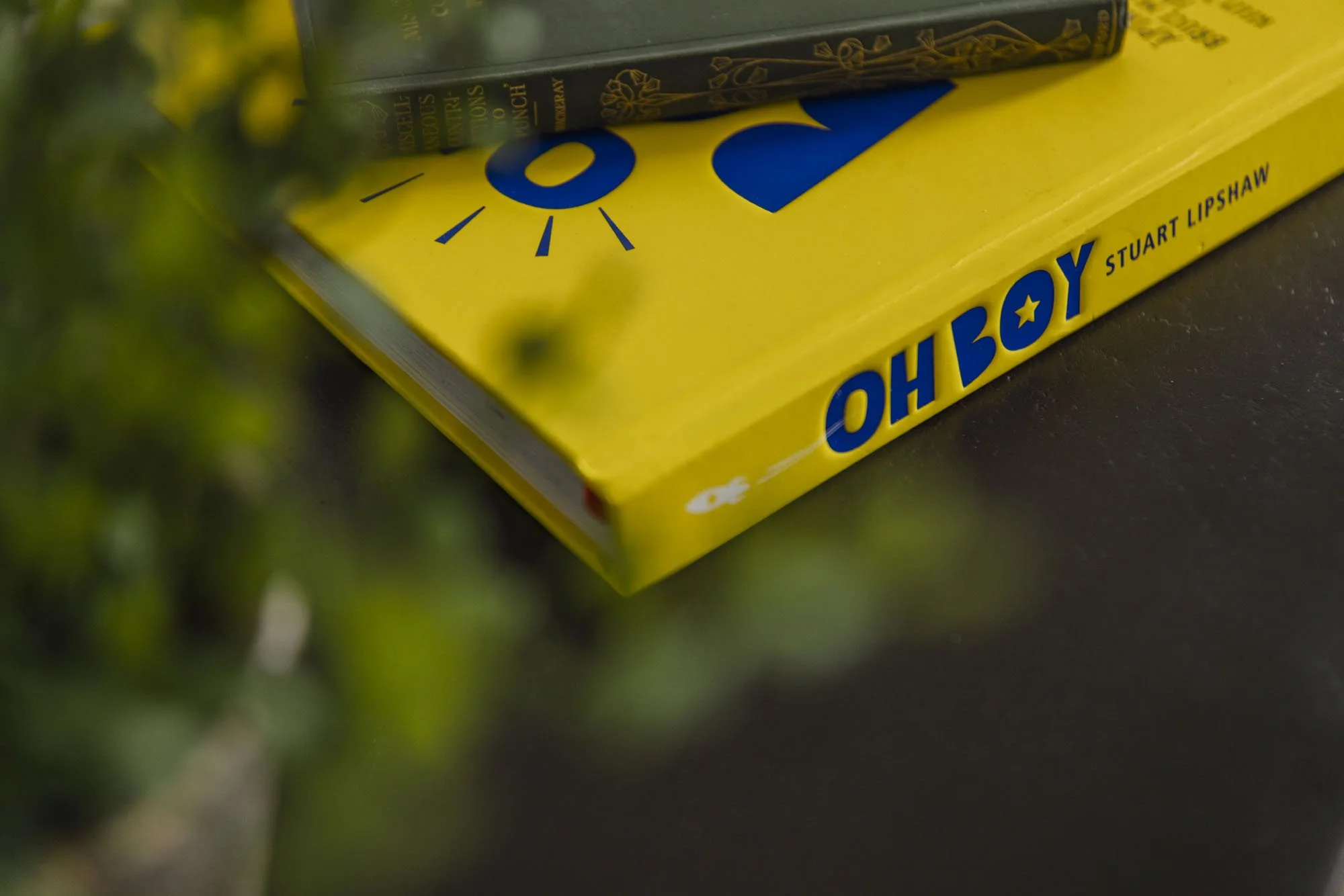 Close-up of the bottom right corner of a board game box labeled 'OHOY' in blue letters with a star inside the 'O', and the author's name 'Stuart Lipshaw' underneath, placed on a dark surface with blurred green foliage partially visible on the left si