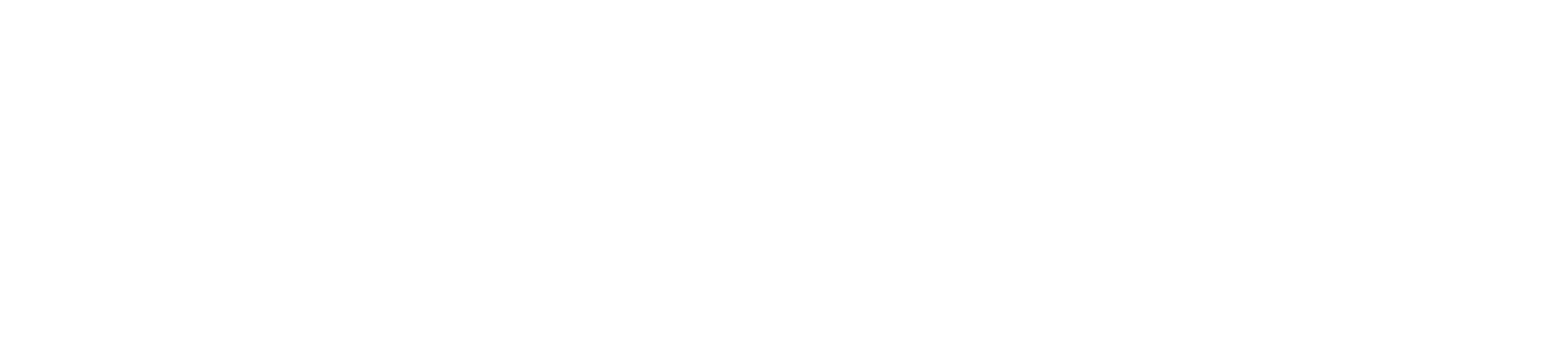 Logo with a stylized fish and a film reel inside a circle, next to the text 'FischerPanda'