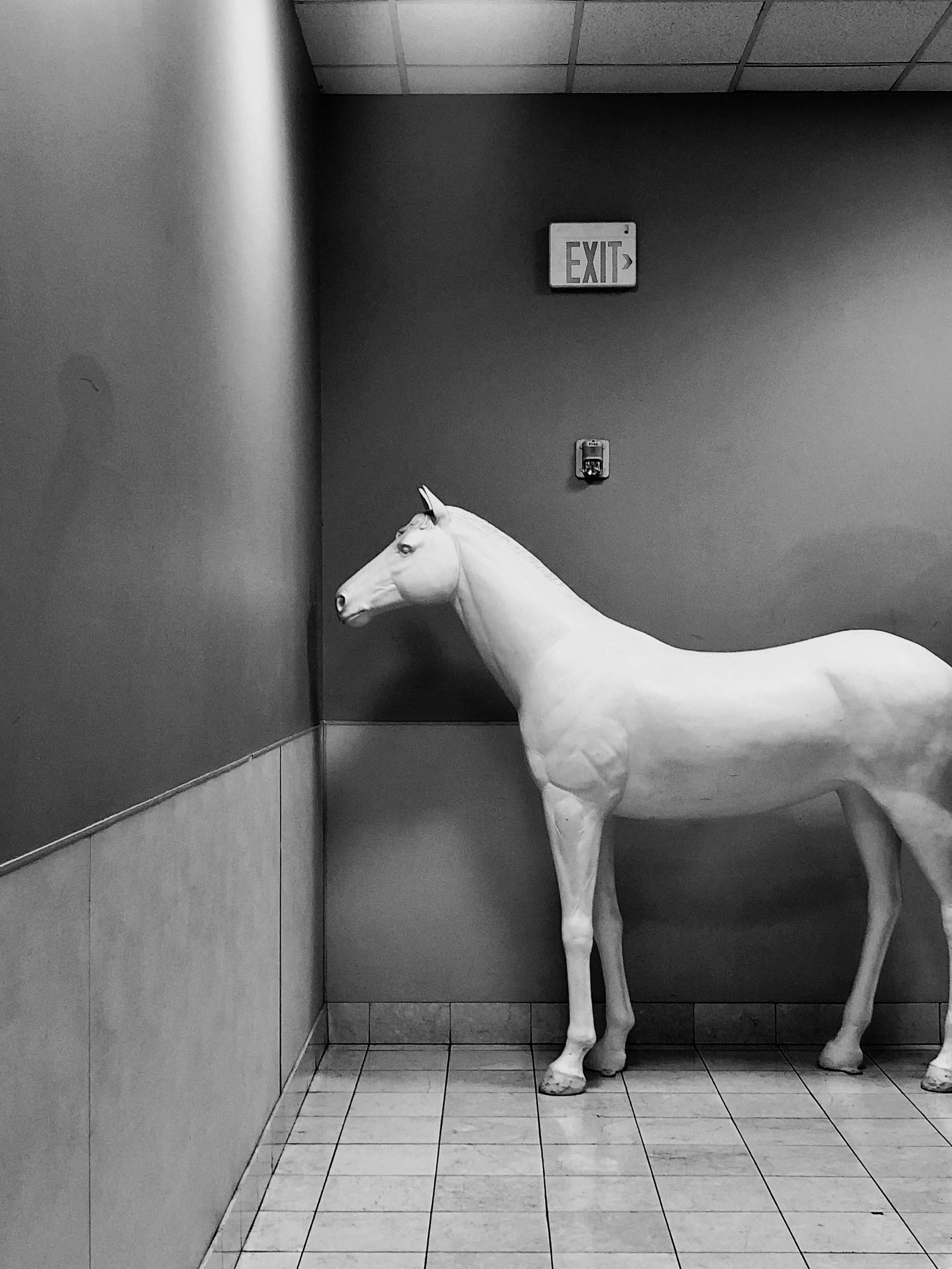 Black and white photo of a life-sized horse sculpture in a corner near an exit door in a building.