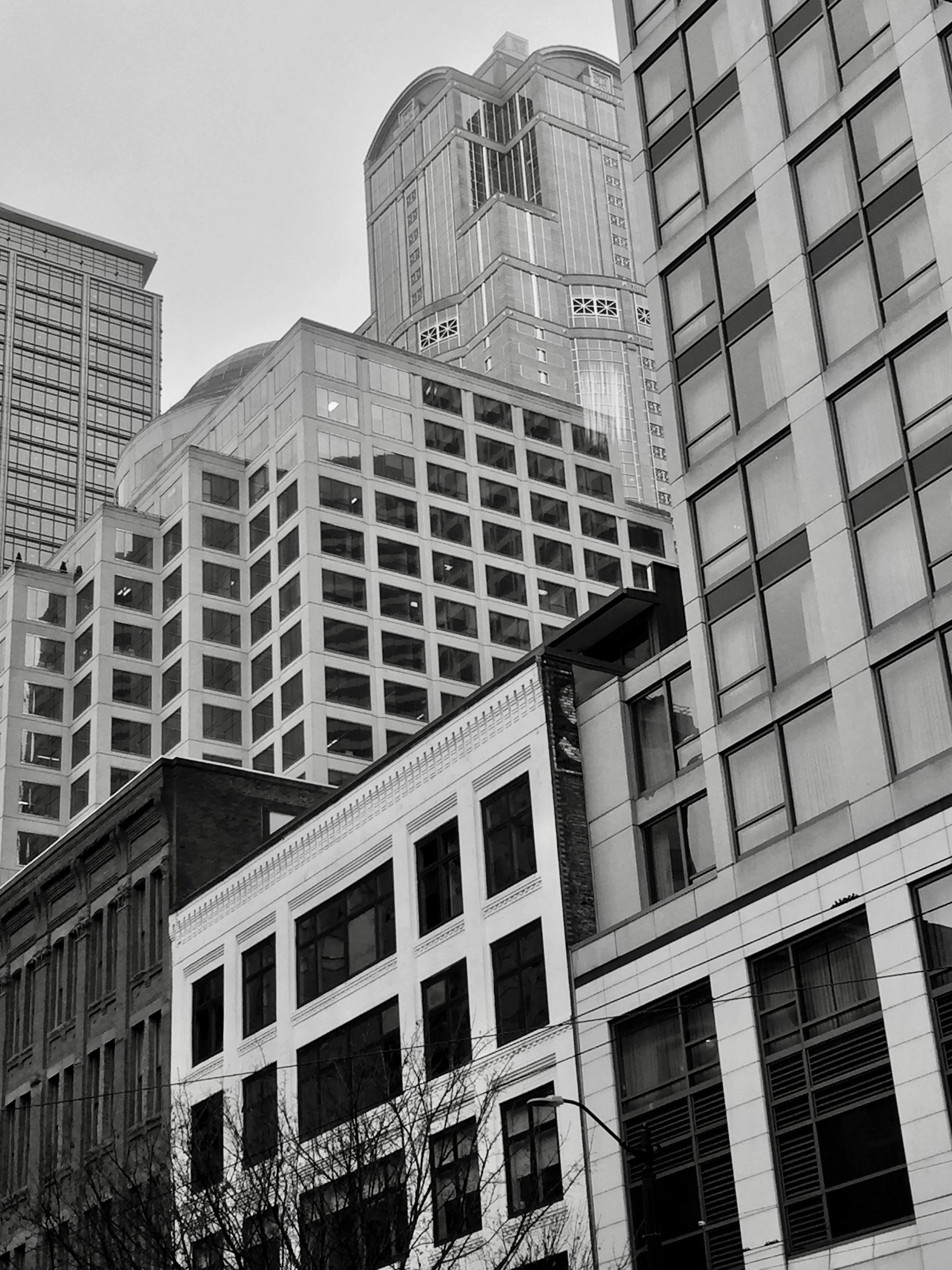 Black and white photo of tall modern skyscrapers and office buildings in an urban cityscape, with some trees and street lamp in the foreground.