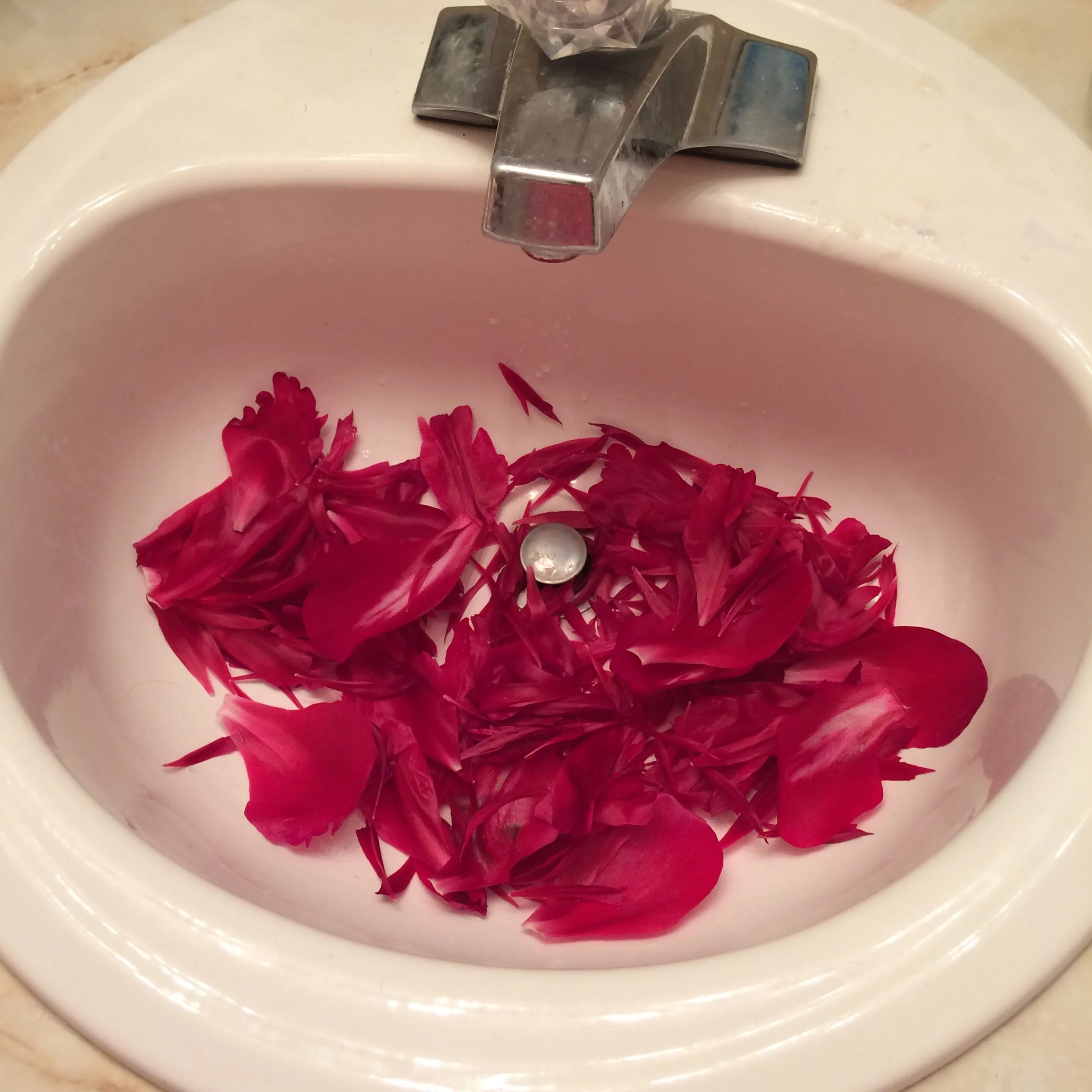 A sink filled with red flower petals, with a silver drain in the center and a silver faucet above.