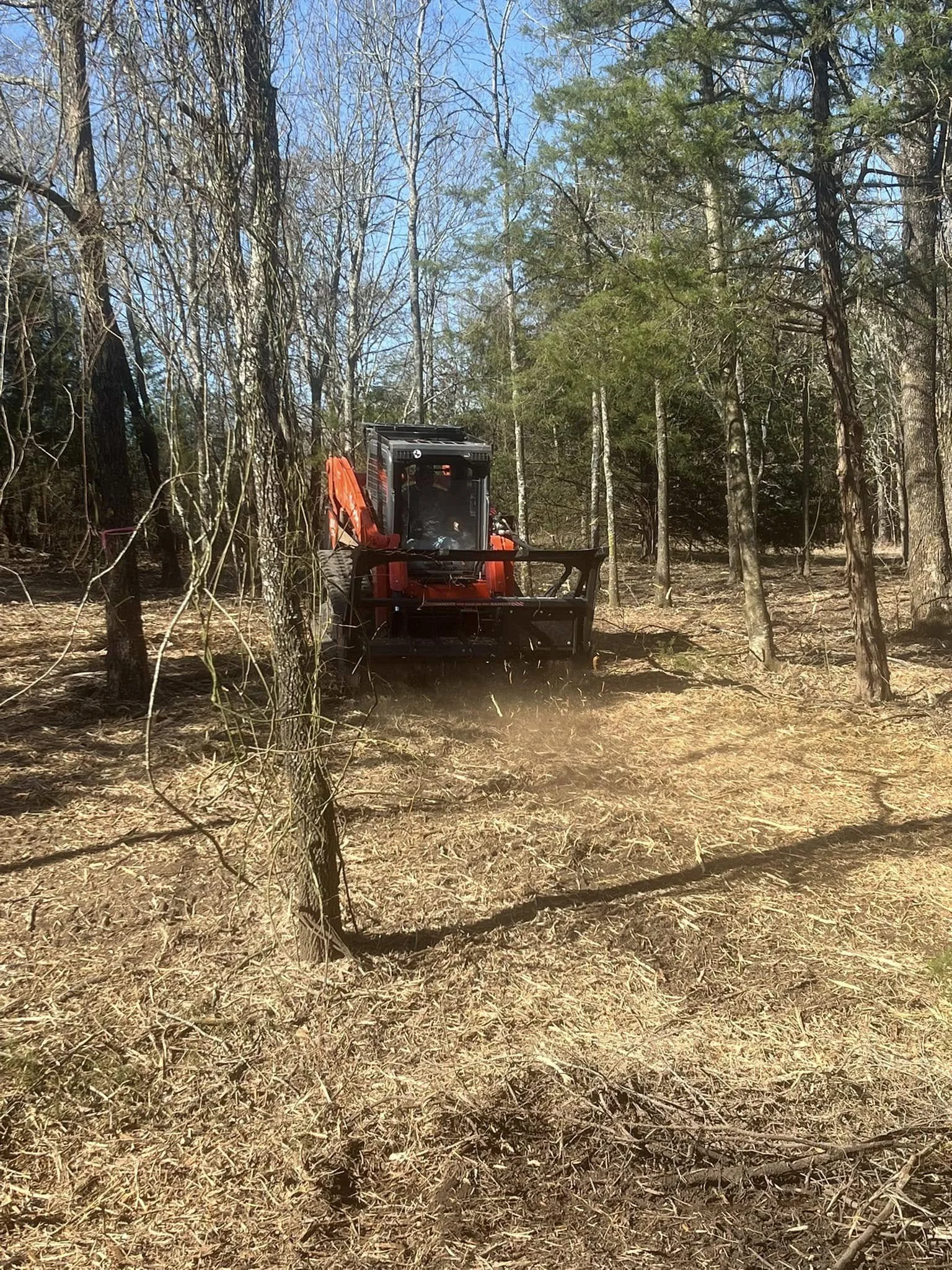 Mulching & Debris Haul-Off