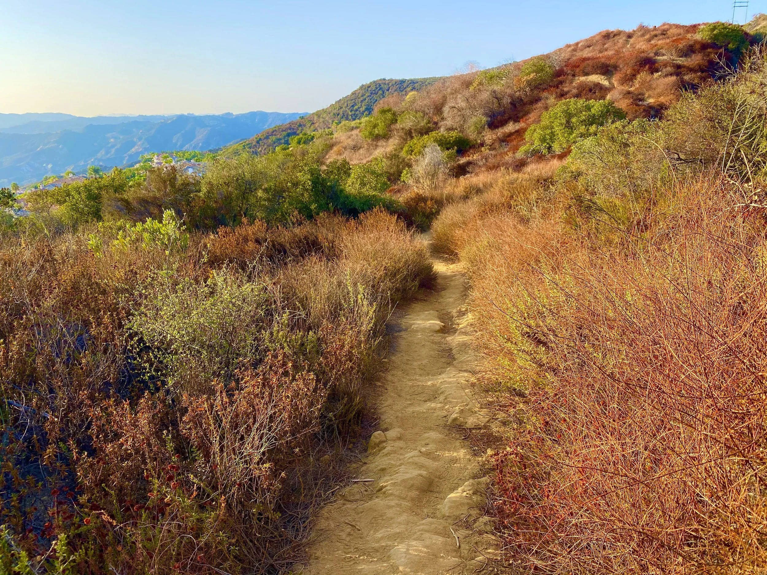 A dirt trail winding through a dry, hilly landscape with colorful shrubs and bushes, with mountains and clear blue sky in the background.