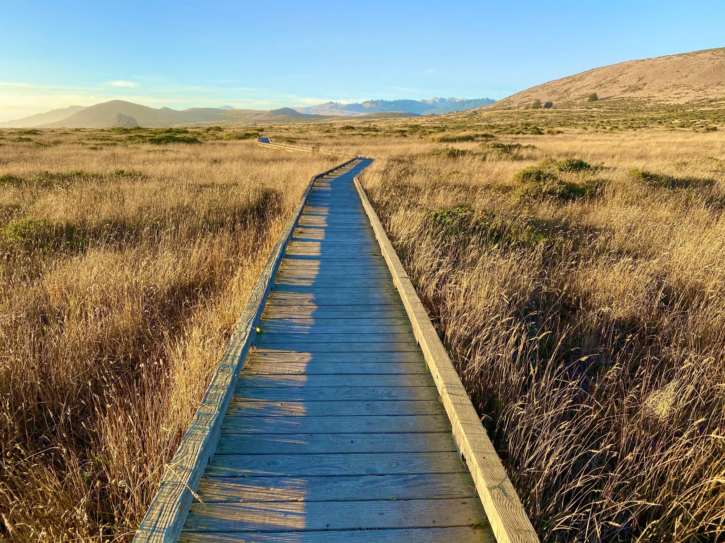 A wooden boardwalk winding through a grassy field with mountains in the background under a blue sky.