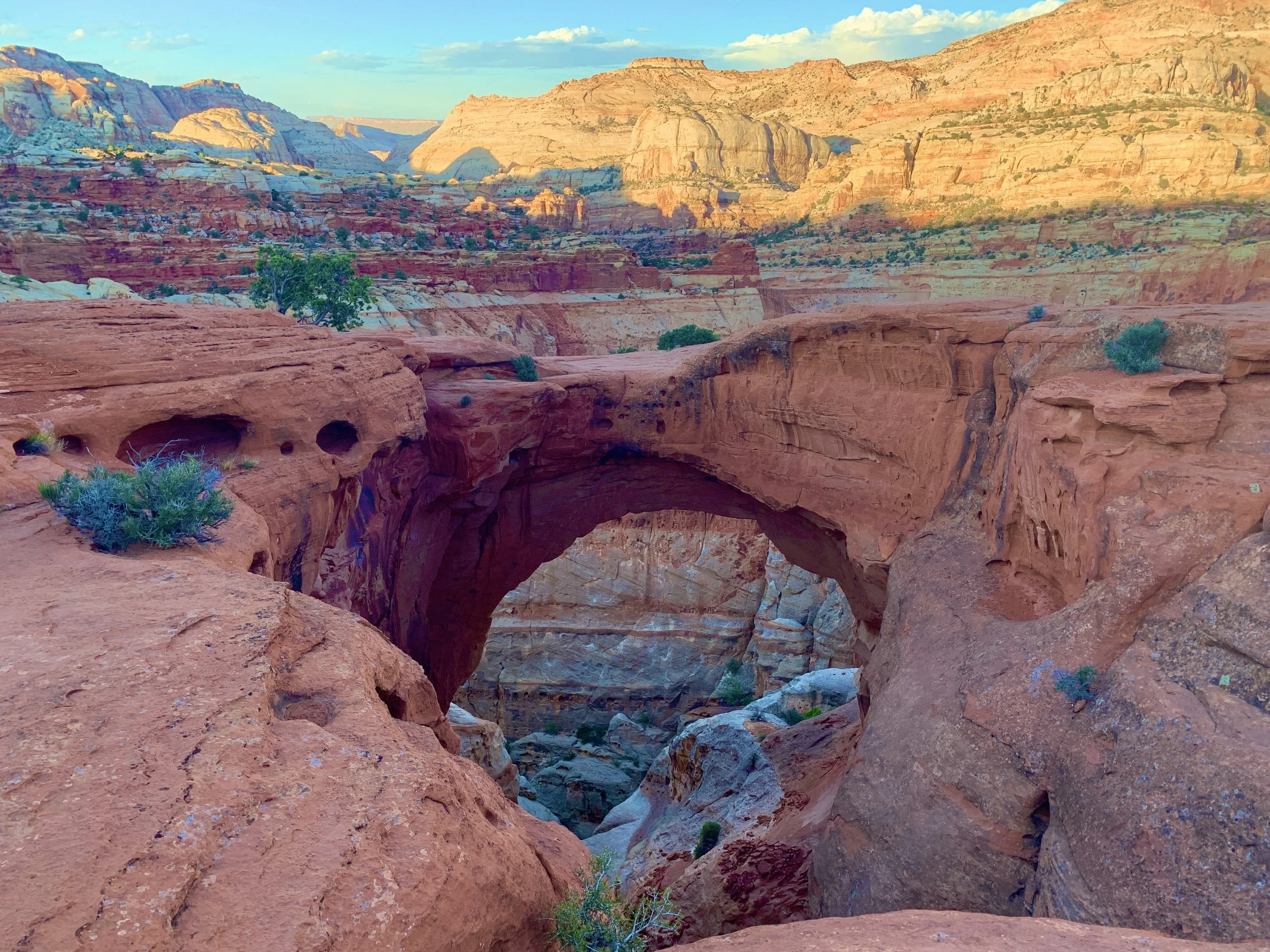 A natural red rock arch formation in a desert landscape with layered rock cliffs and sparse vegetation in the background.