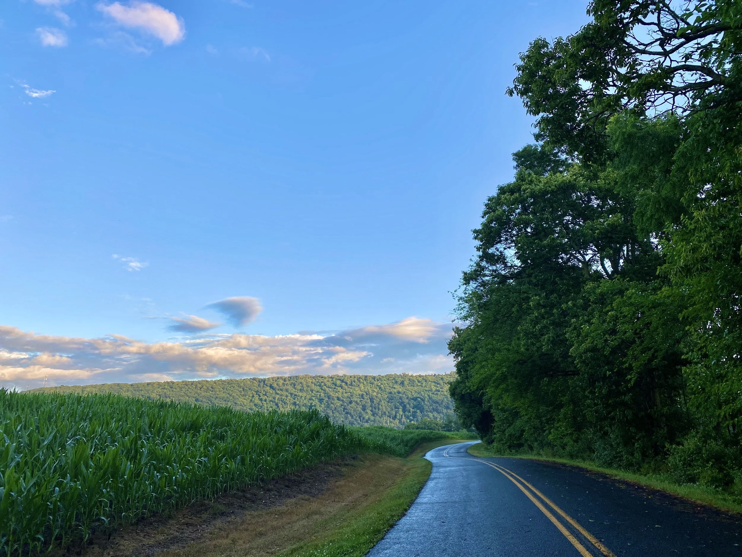 A winding road runs through a rural landscape with a lush green cornfield on the left and dense trees on the right, under a partly cloudy sky.