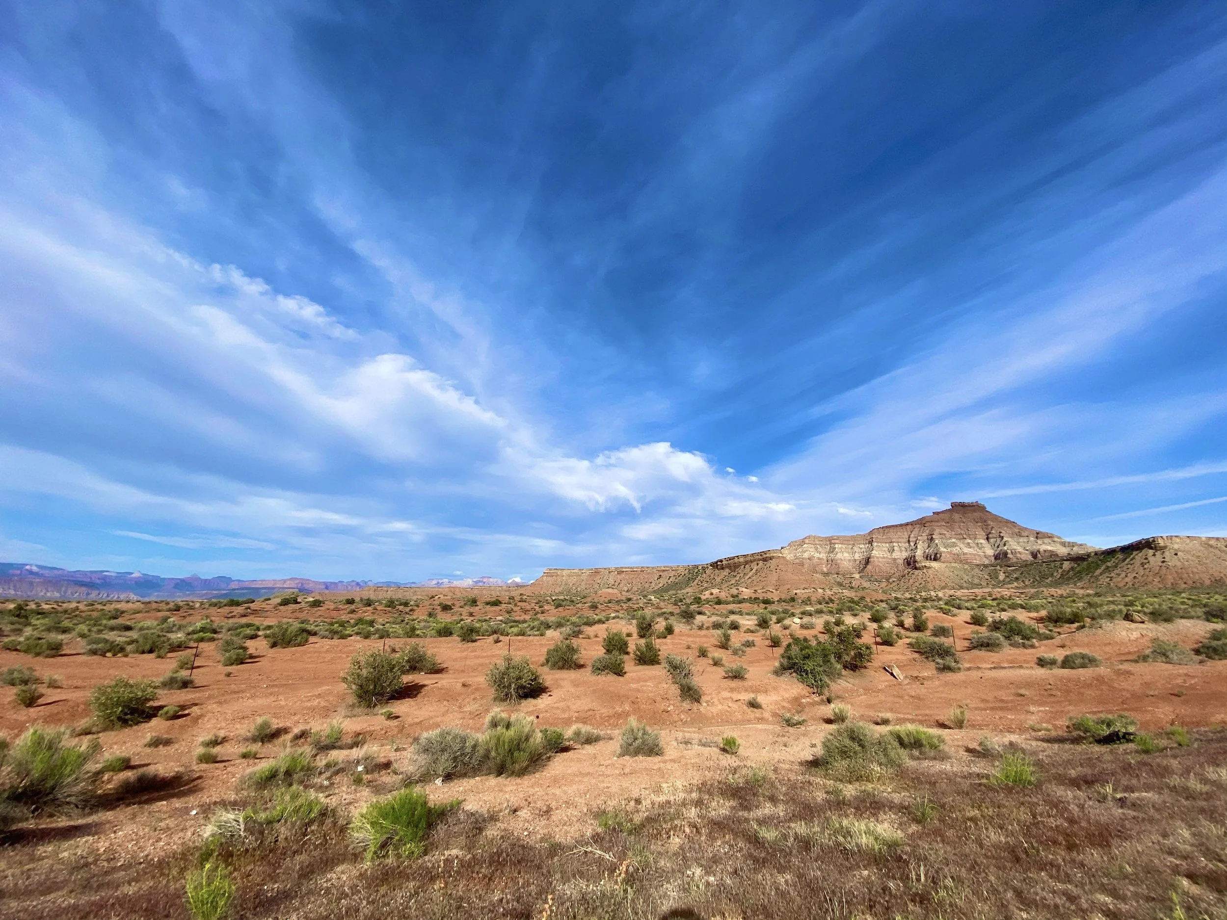 A desert landscape with red dirt, sparse green shrubs, and a large layered rock formation in the distance, under a blue sky with wispy clouds.