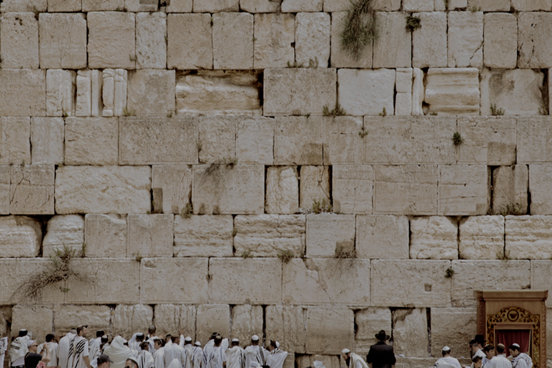 Wall of Hope
