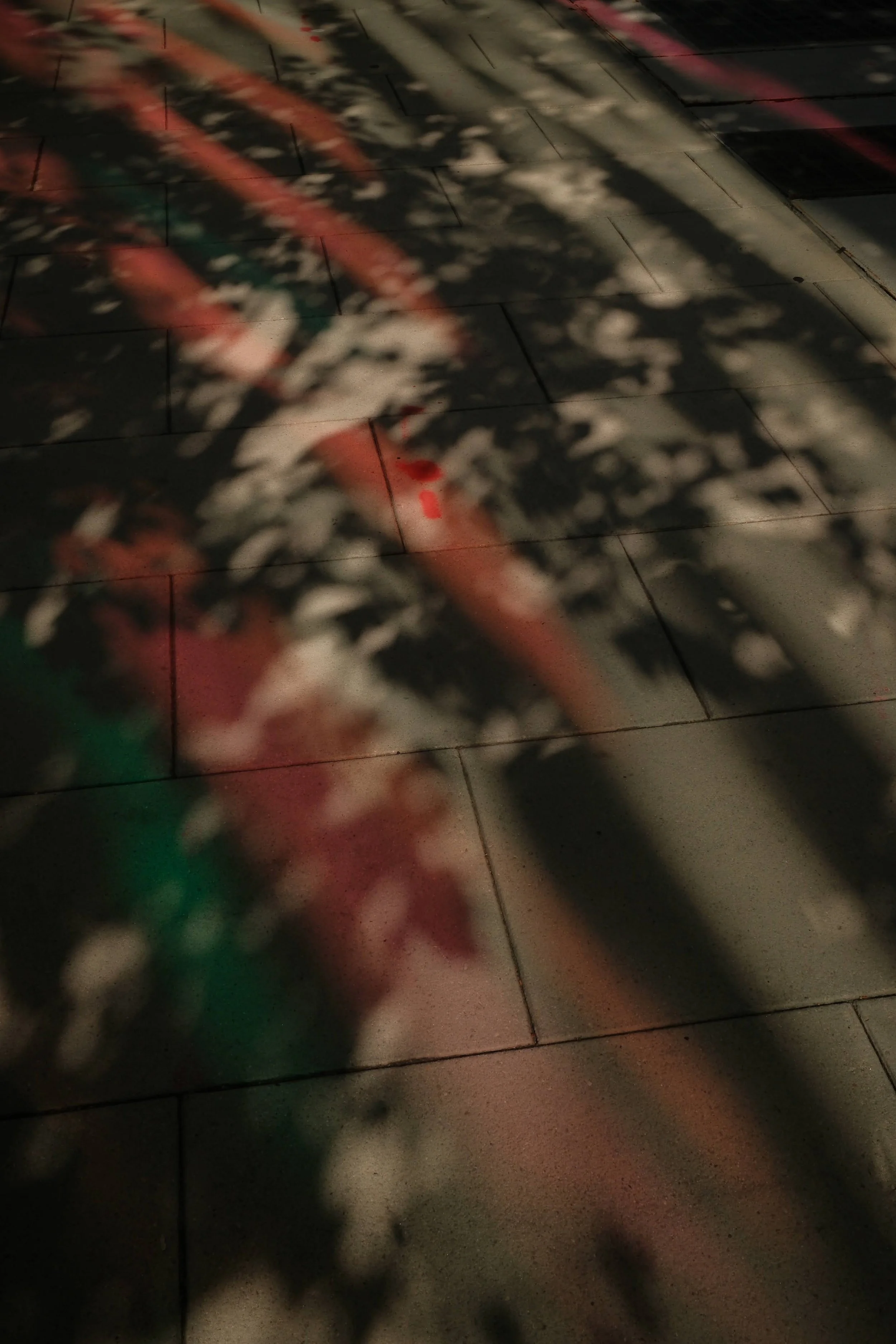 Shadows of leaves and branches cast on a tiled outdoor surface during twilight, with some colored reflections.