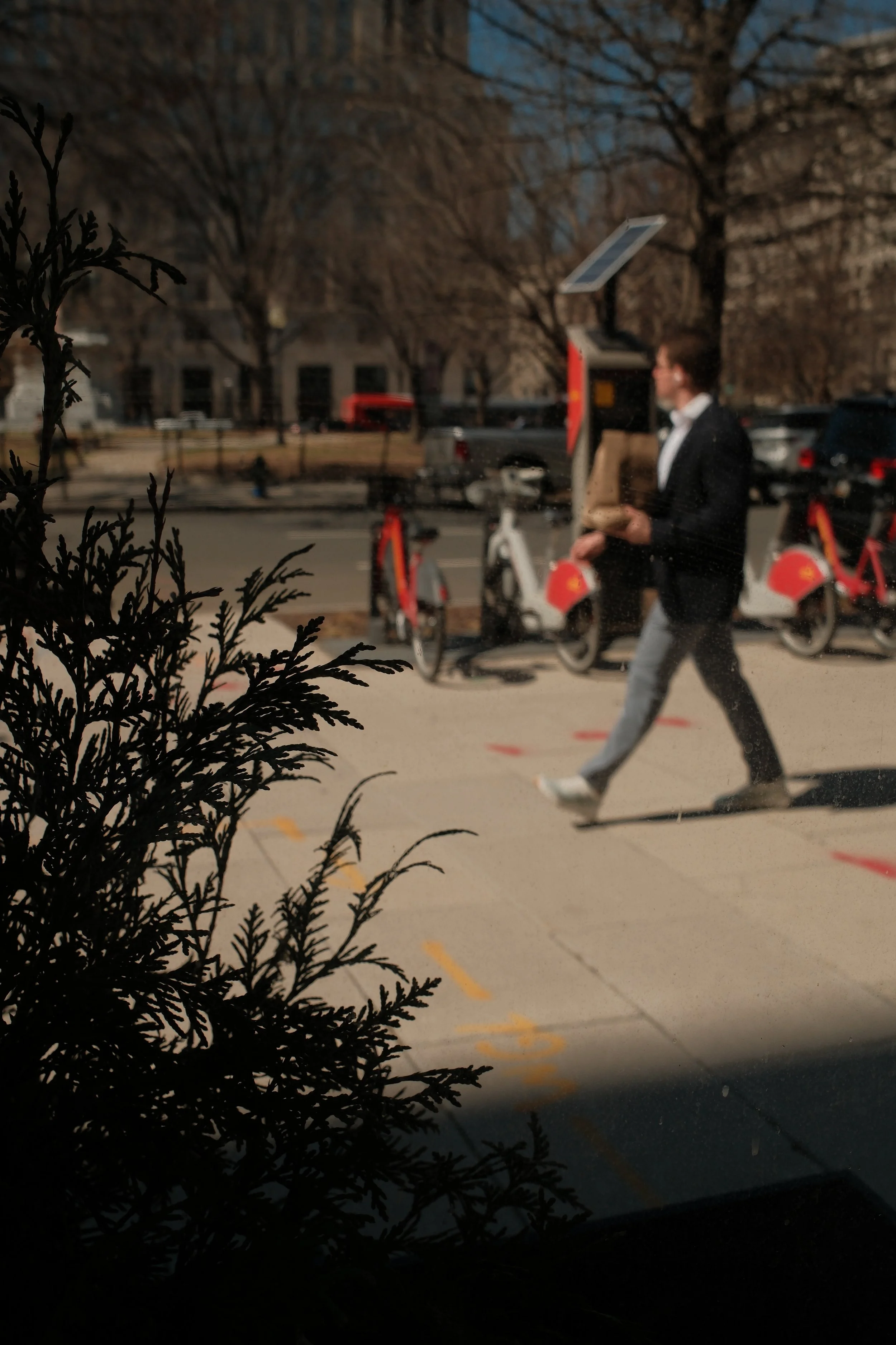 A person walking on the sidewalk outside, viewed through a window with a plant in the foreground. The person is dressed in a black jacket, white shirt, and gray pants, and is carrying a bag. There are bike-sharing bikes parked at a station in the bac
