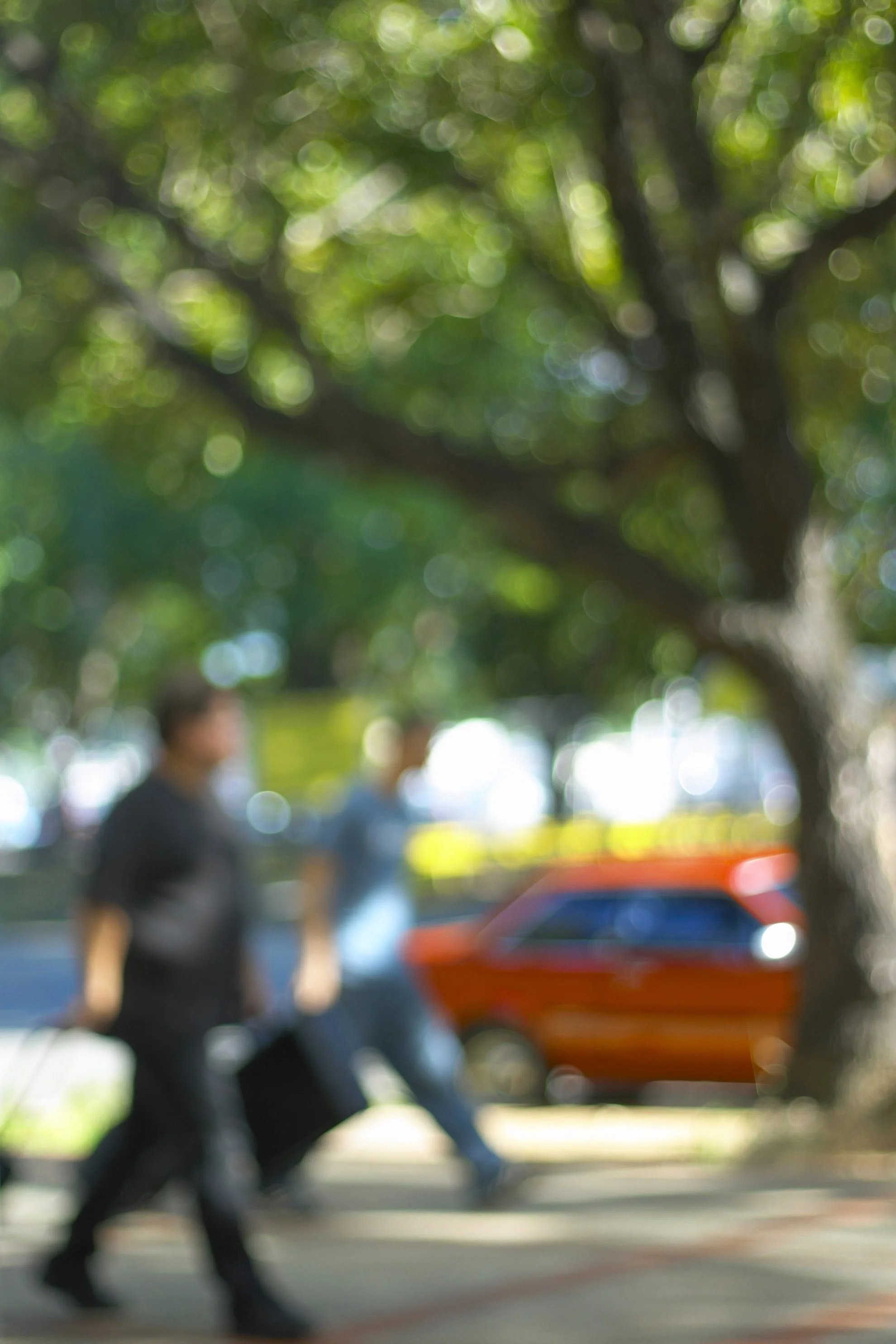 Blurred image of people walking on the sidewalk beneath a large, leafy tree, with a red car parked in the background.