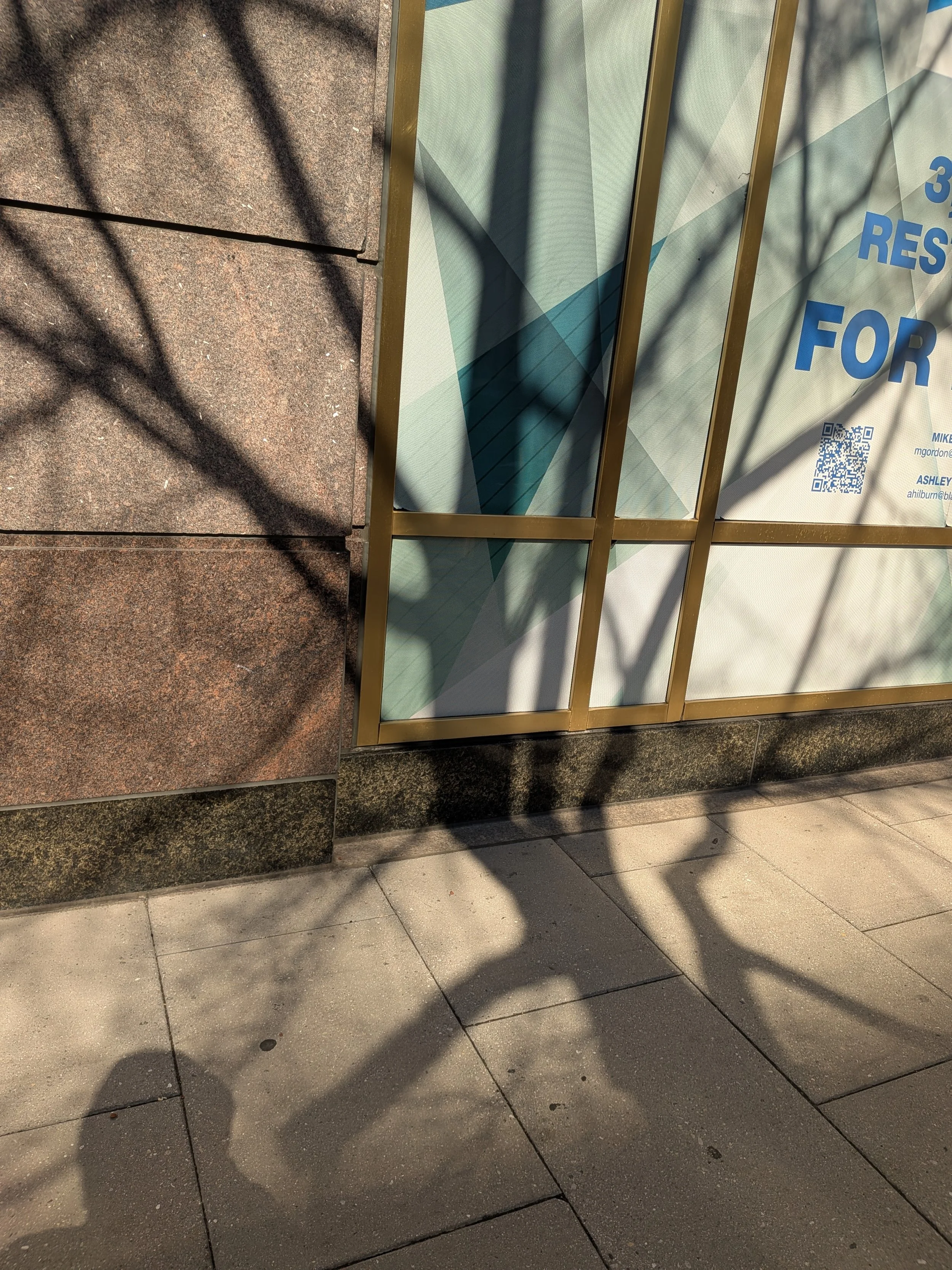 Shadows of a tree cast on the exterior wall and window of a building, with part of the sidewalk visible at the bottom.