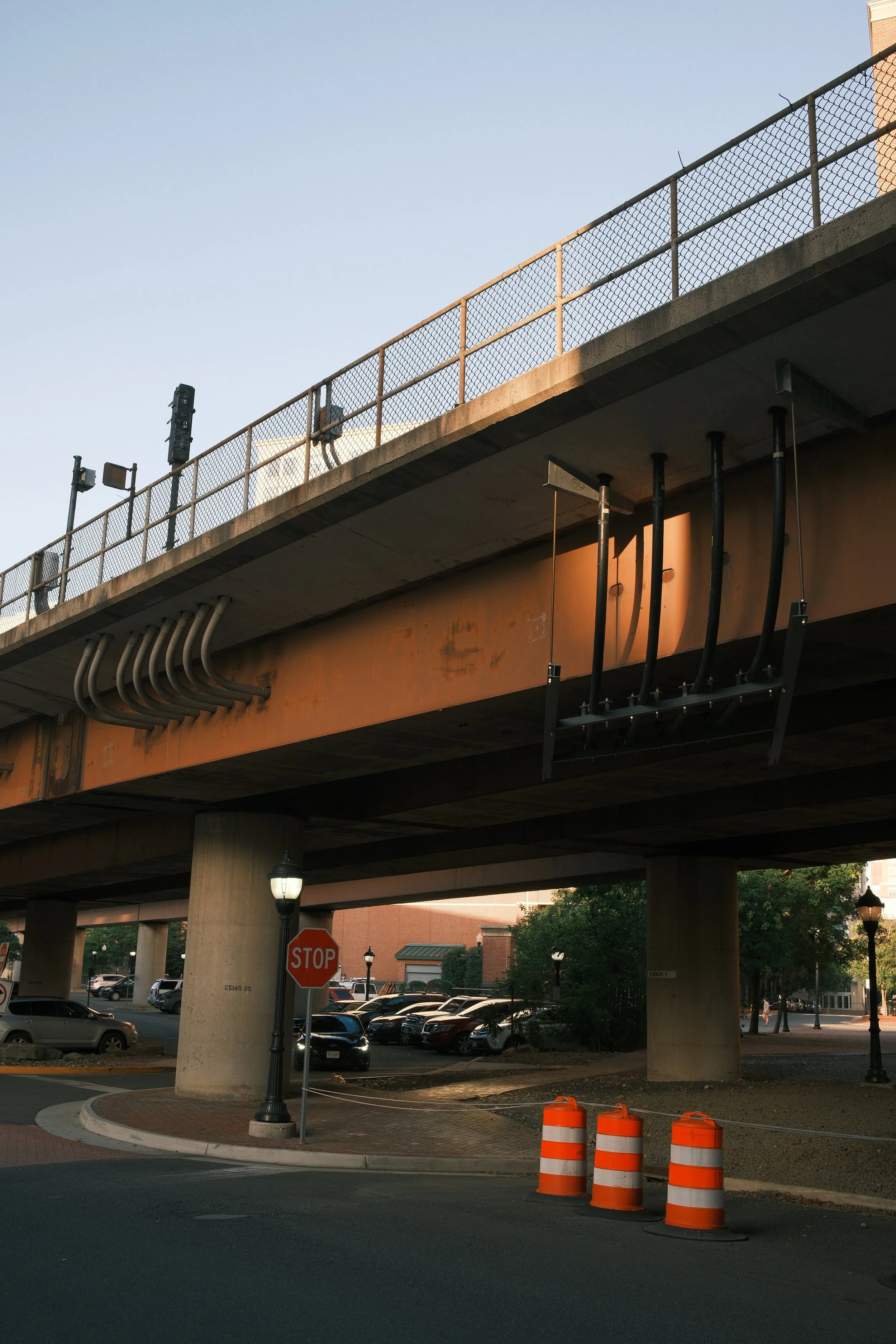 DSCF7131.JPG