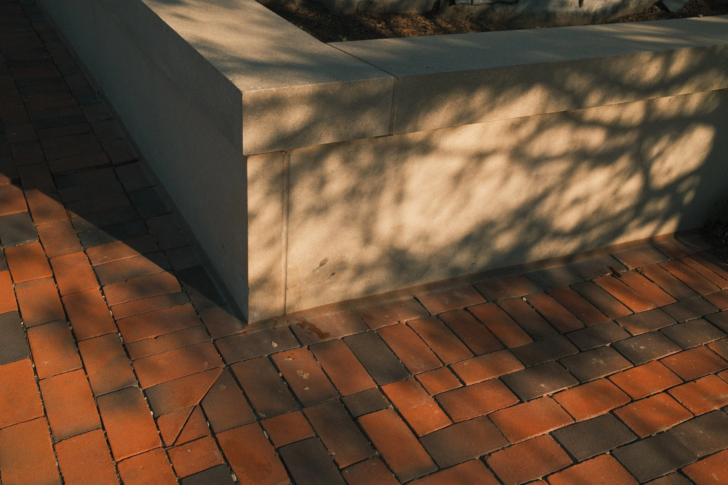 Close-up of a concrete bench with brick paving and shadow patterns from nearby trees.