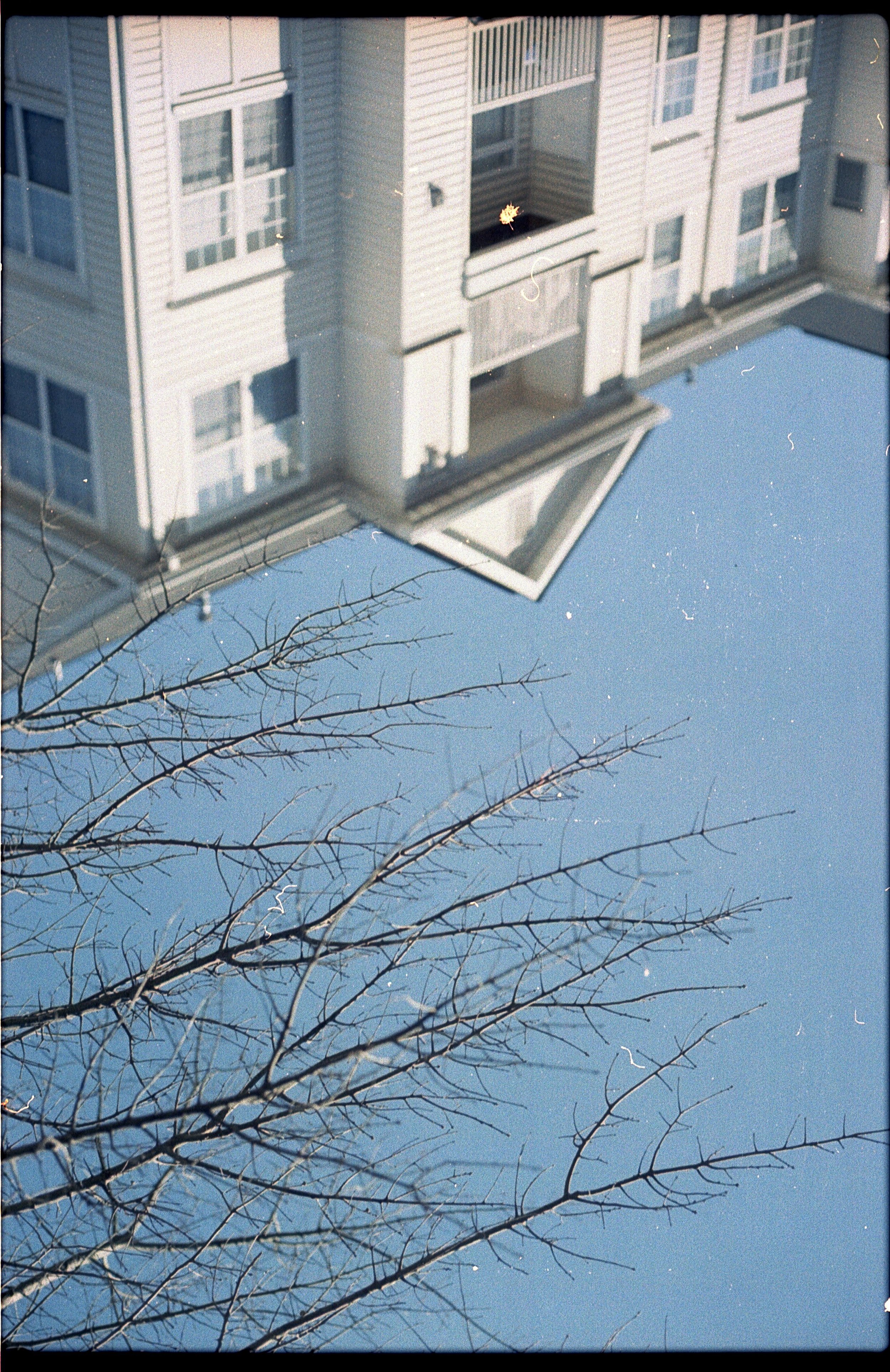 Upside-down photograph of a beige apartment building with balconies and windows, a leafless tree with thin branches in front, against a clear blue sky.